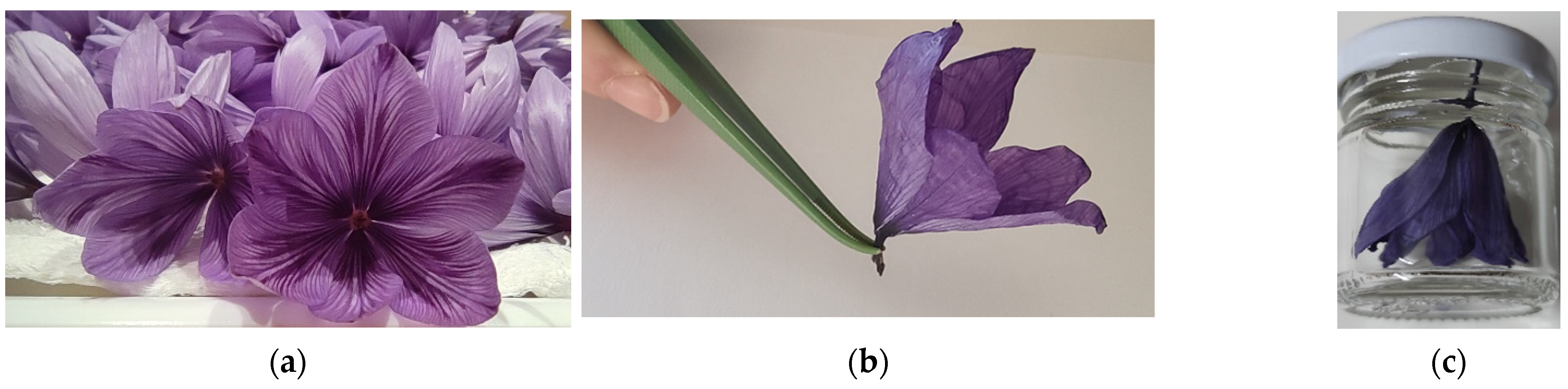 Agriculture 12 01813 g010