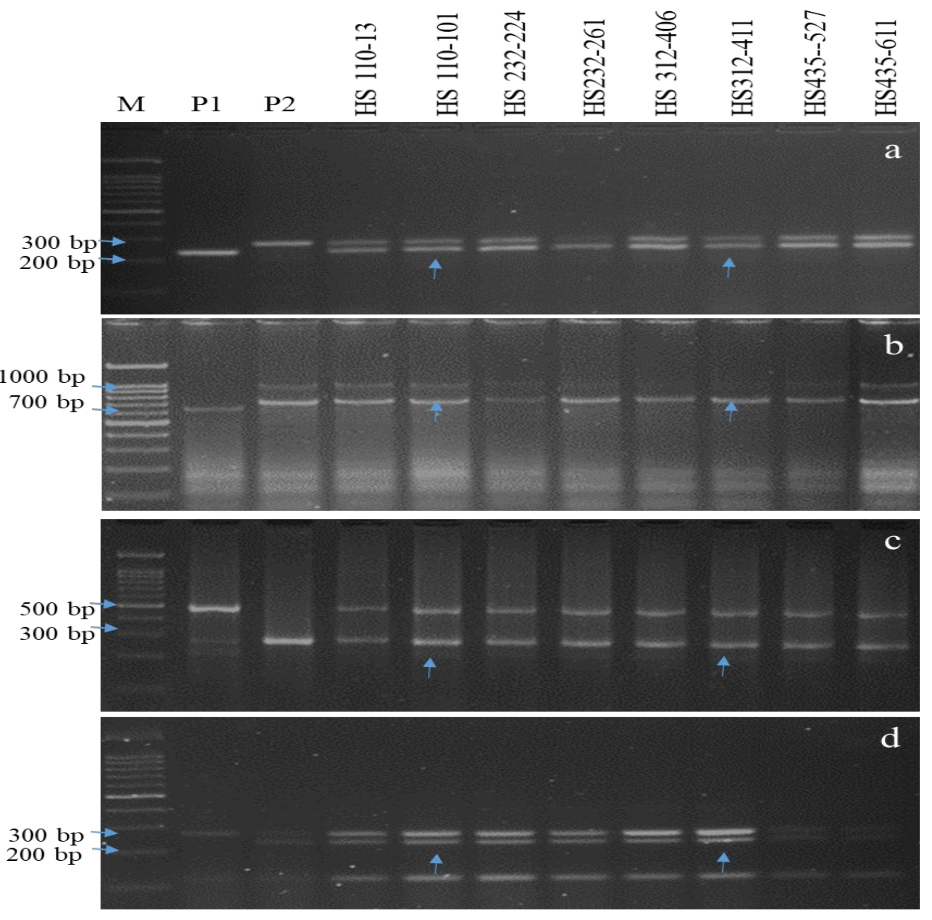 Agriculture 12 01815 g003 Agriculture 12 01815 g003