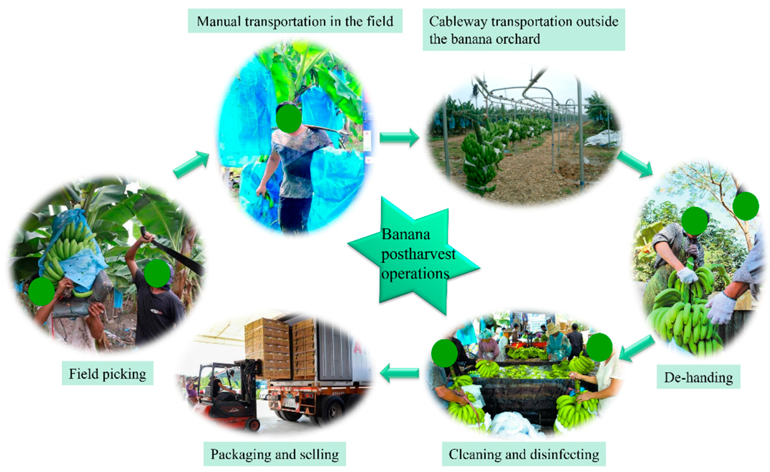 Agriculture 12 01821 g001