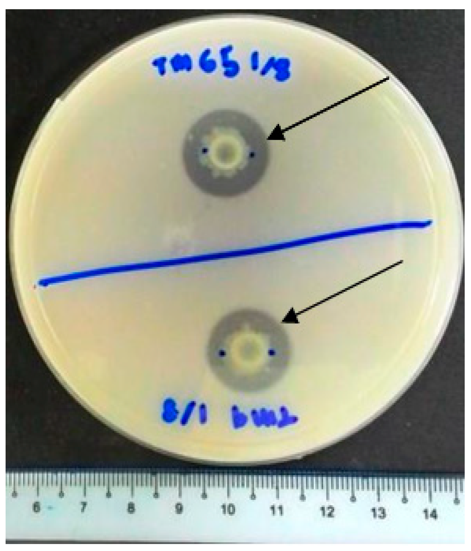 Agriculture 12 01823 g002 Agriculture 12 01823 g002