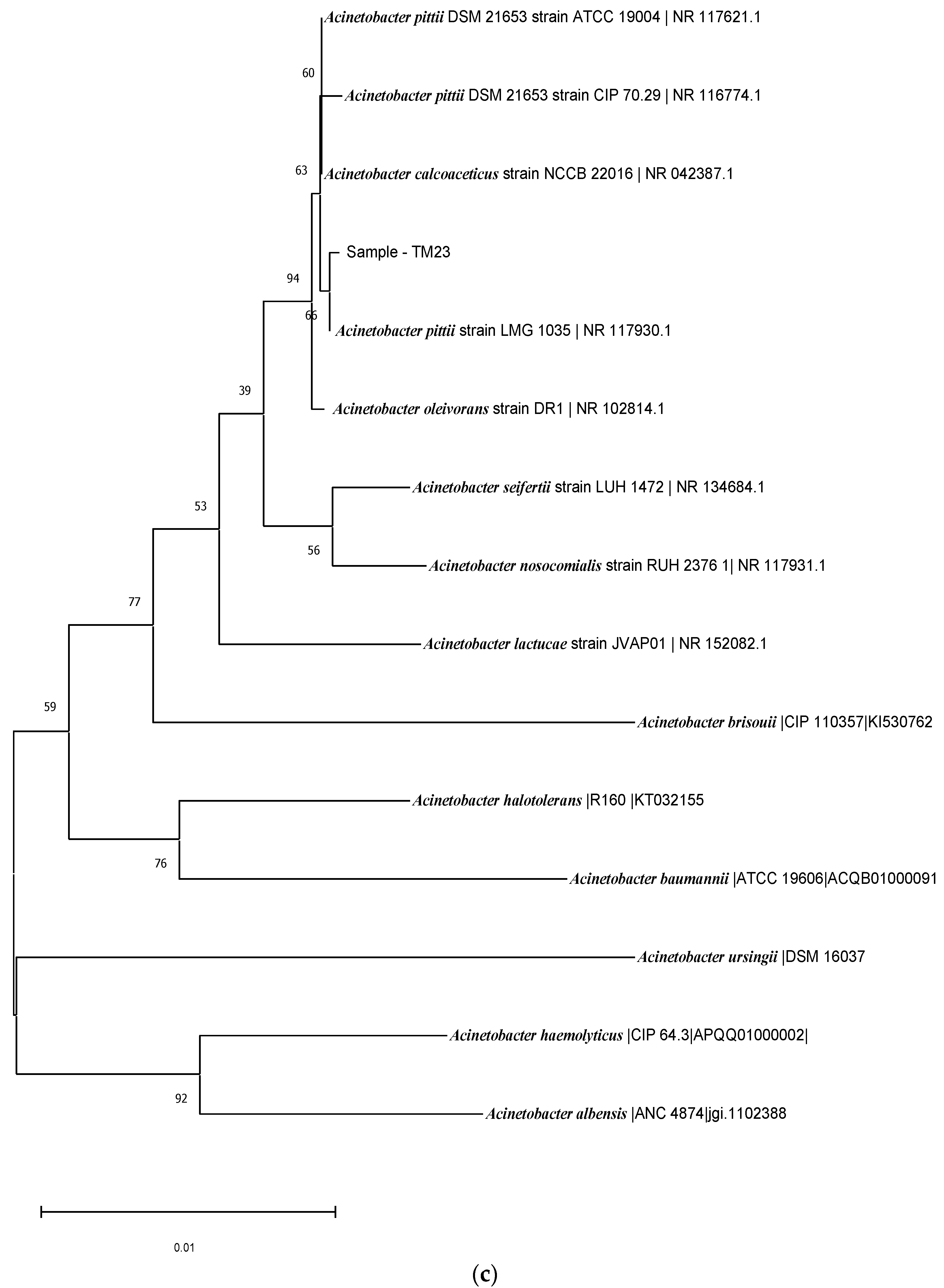 Agriculture 12 01823 g004c Agriculture 12 01823 g004c