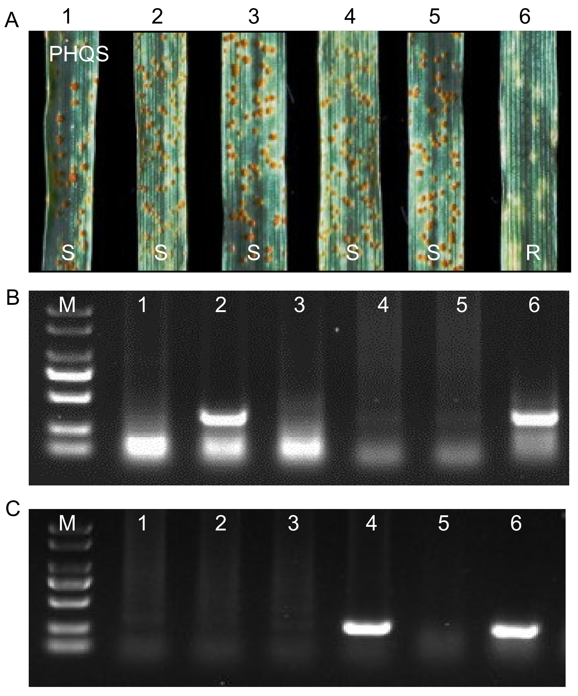 Agriculture 12 01836 g001 Agriculture 12 01836 g001