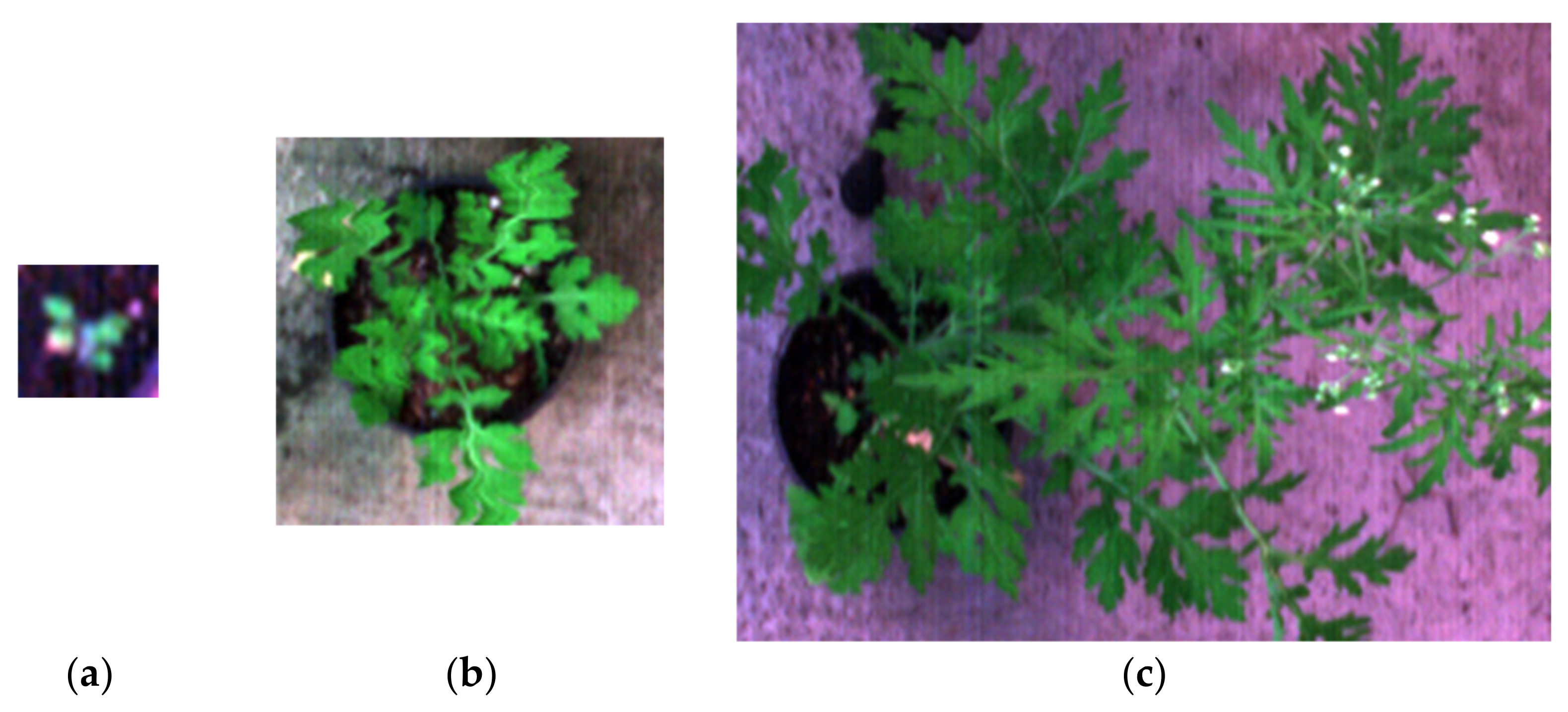 Agriculture 12 01838 g006