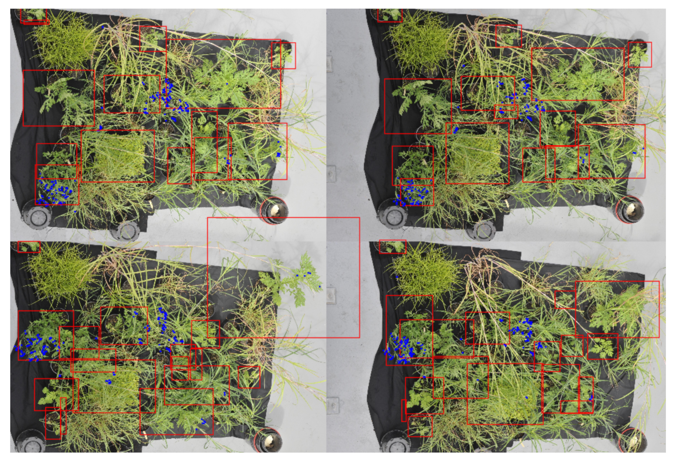 Agriculture 12 01838 g009