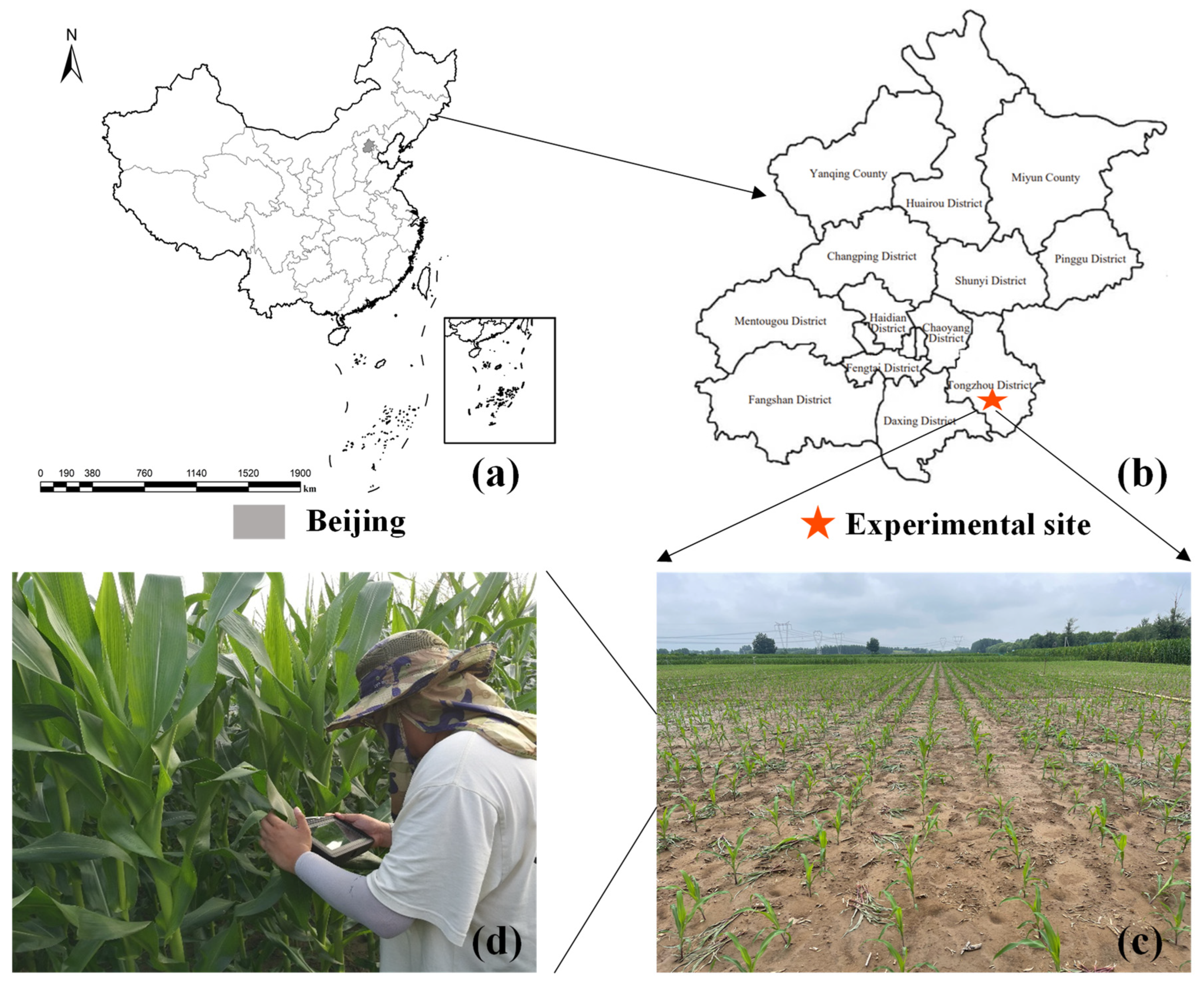 Agriculture 12 01839 g001