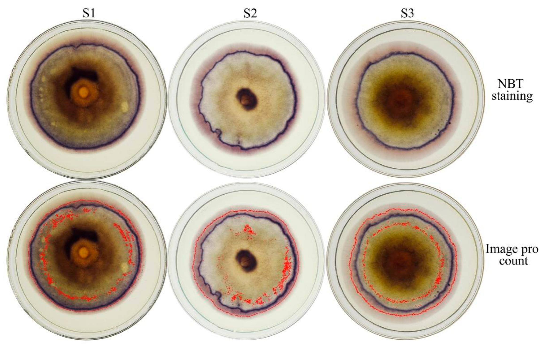 Agriculture 12 01840 g002 Agriculture 12 01840 g002
