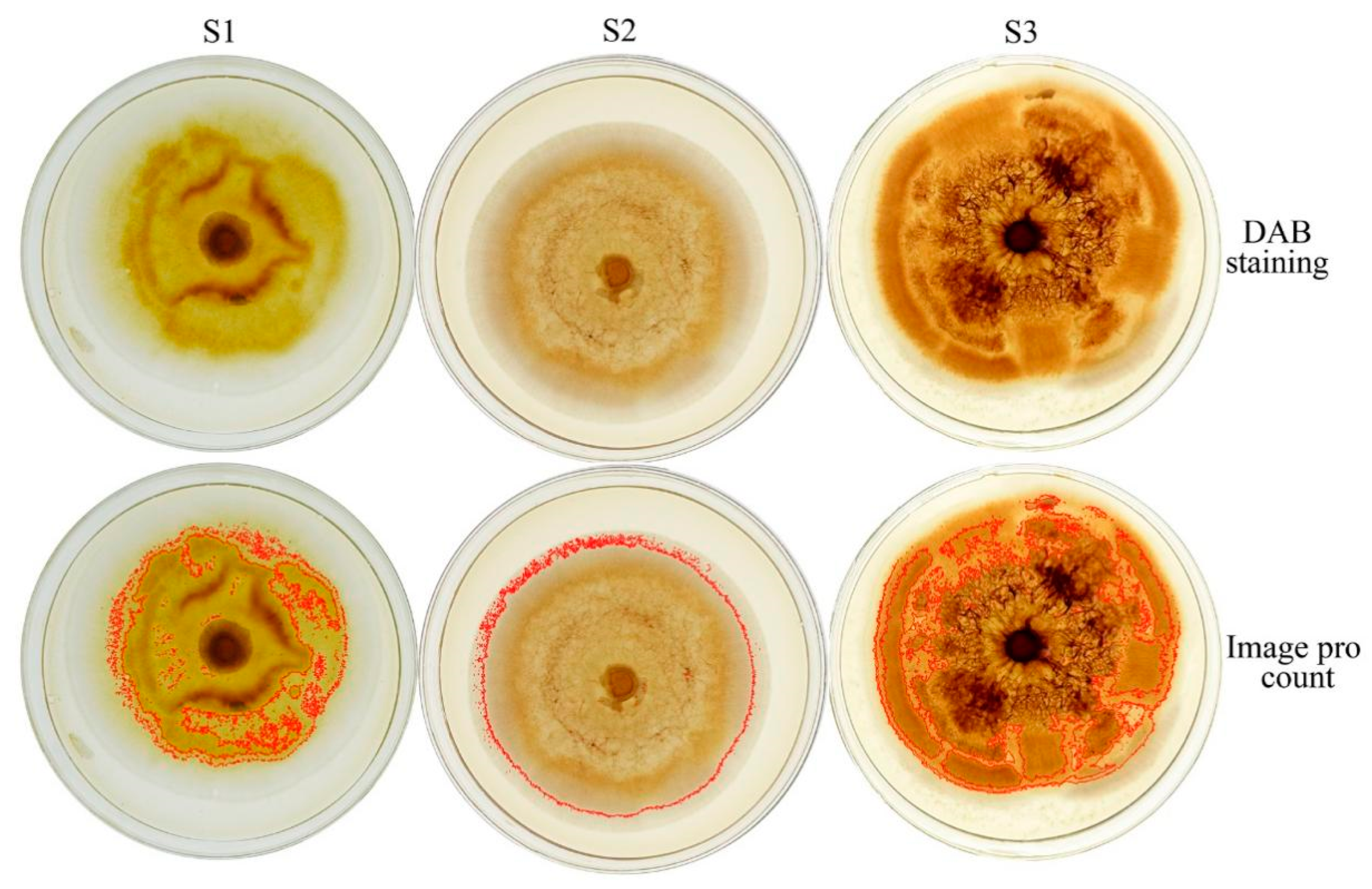 Agriculture 12 01840 g003 Agriculture 12 01840 g003