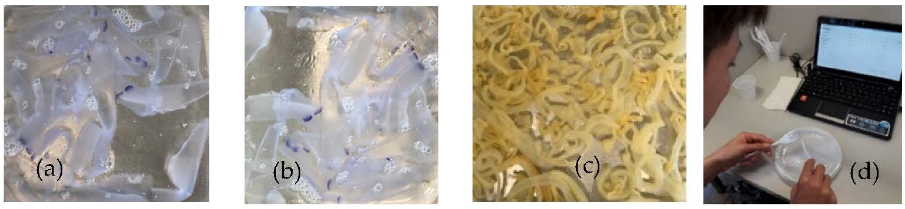 Agriculture 12 01842 g001 Agriculture 12 01842 g001