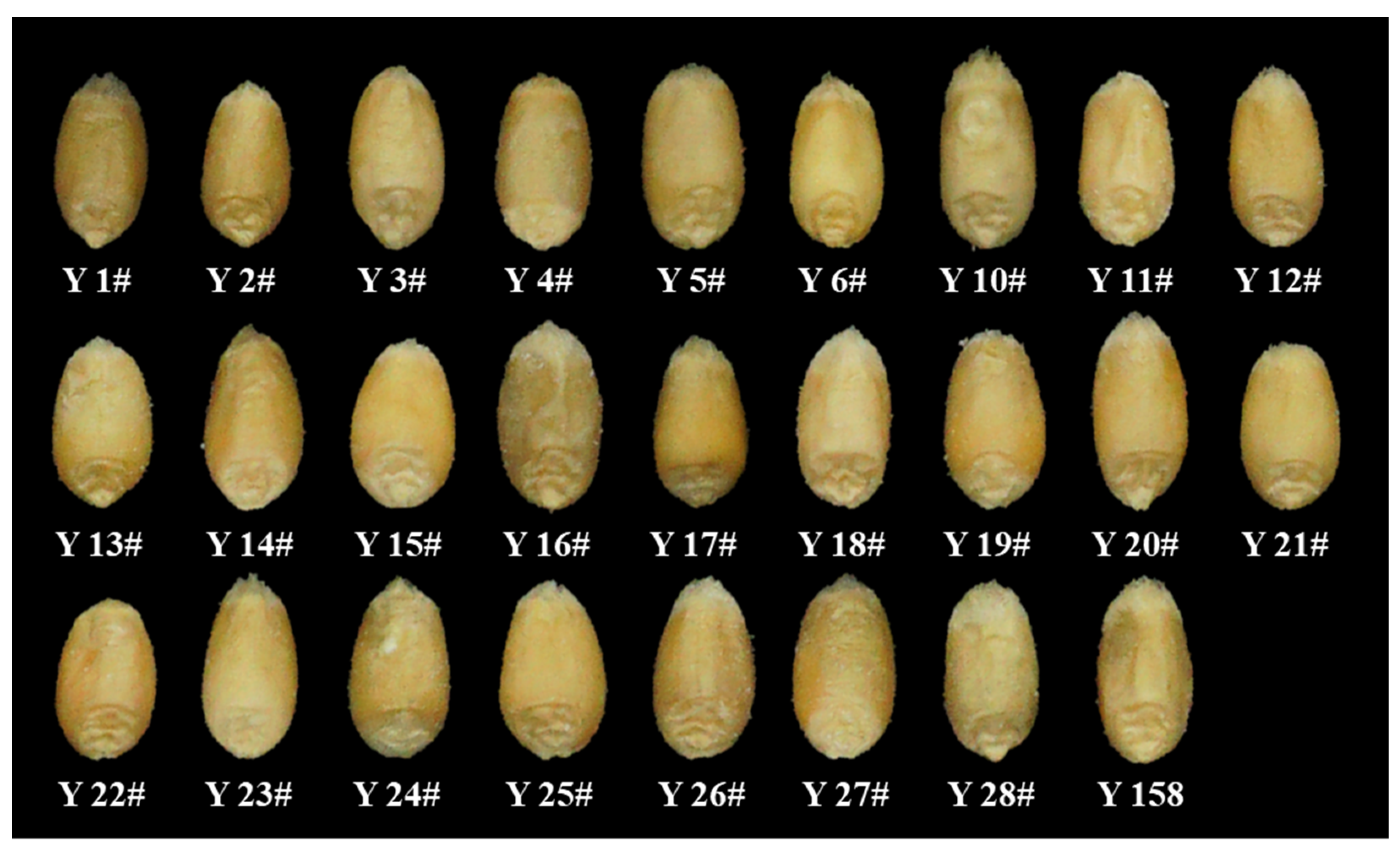 Agriculture 12 01861 g001 Agriculture 12 01861 g001