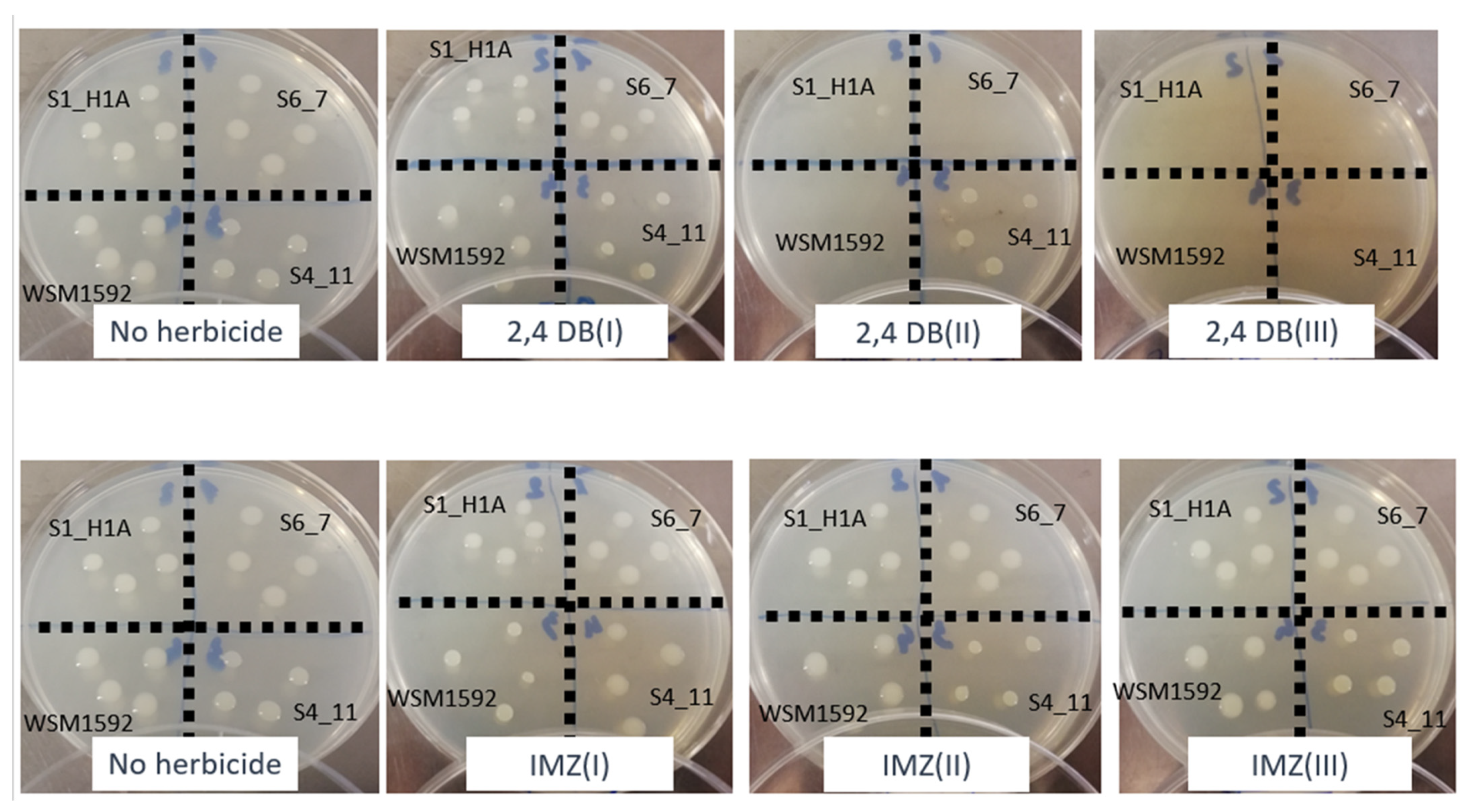 Agriculture 12 01862 g006 Agriculture 12 01862 g006
