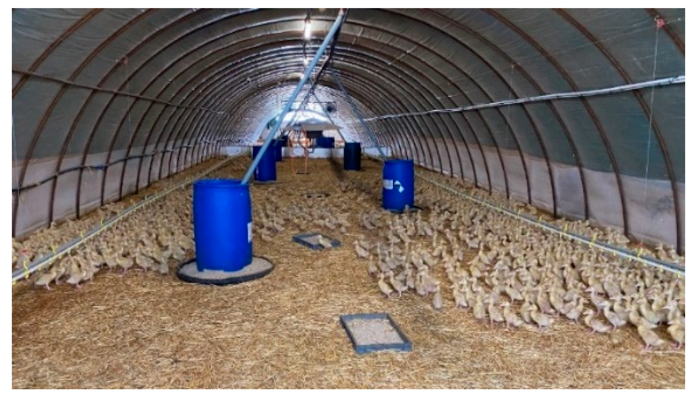 Agriculture 12 01869 g003