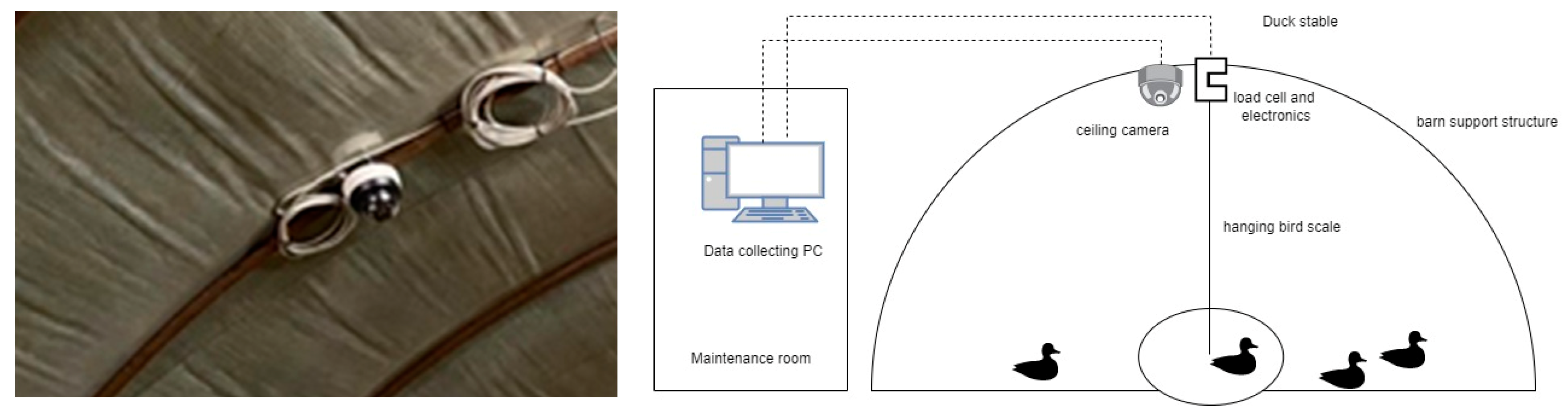Agriculture 12 01869 g004