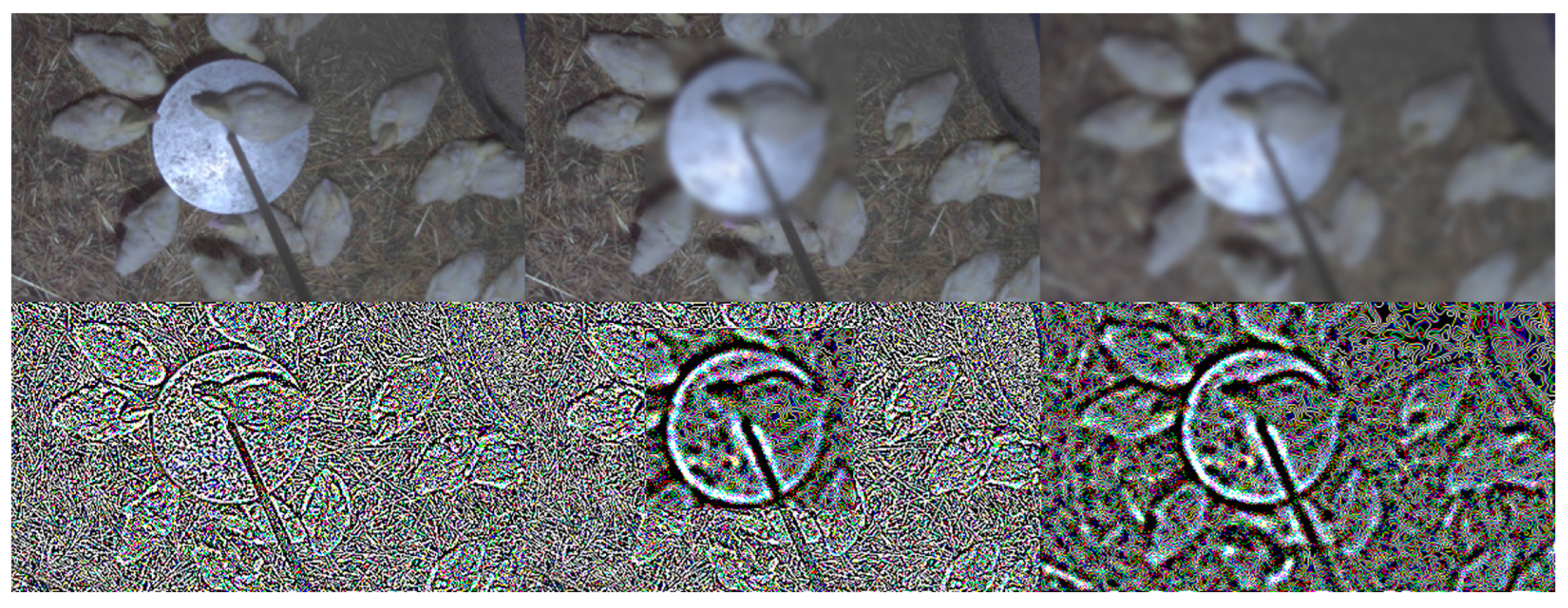 Agriculture 12 01869 g007