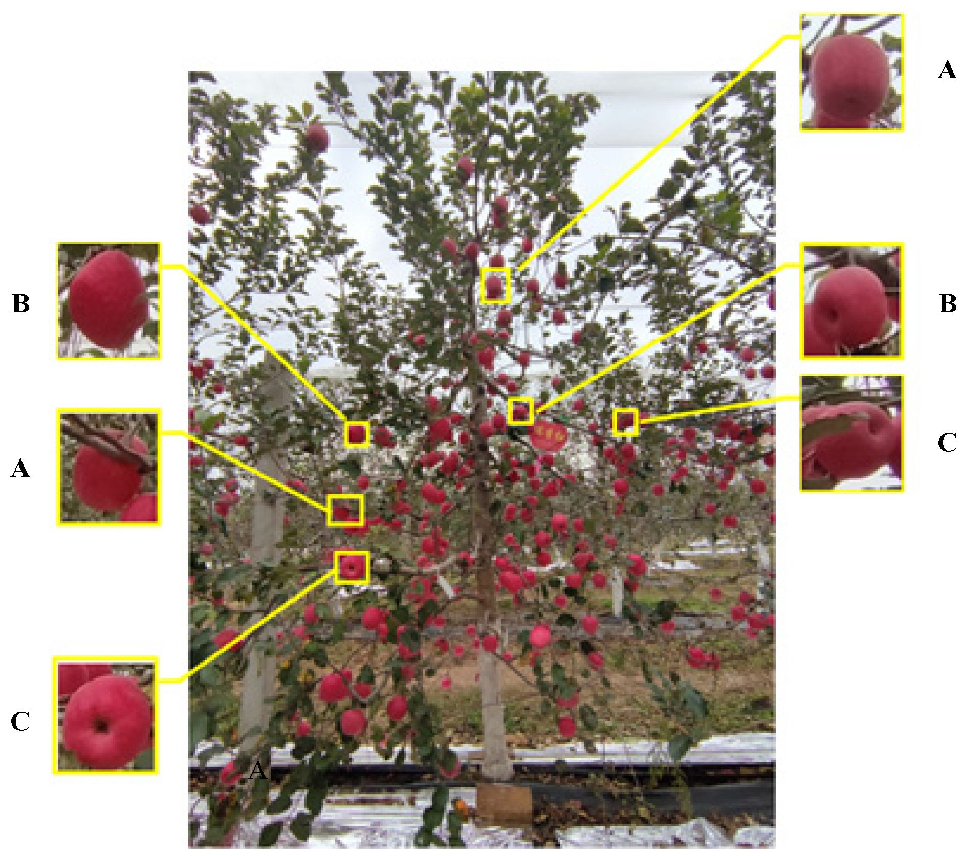 Agriculture 12 01871 g008 Agriculture 12 01871 g008