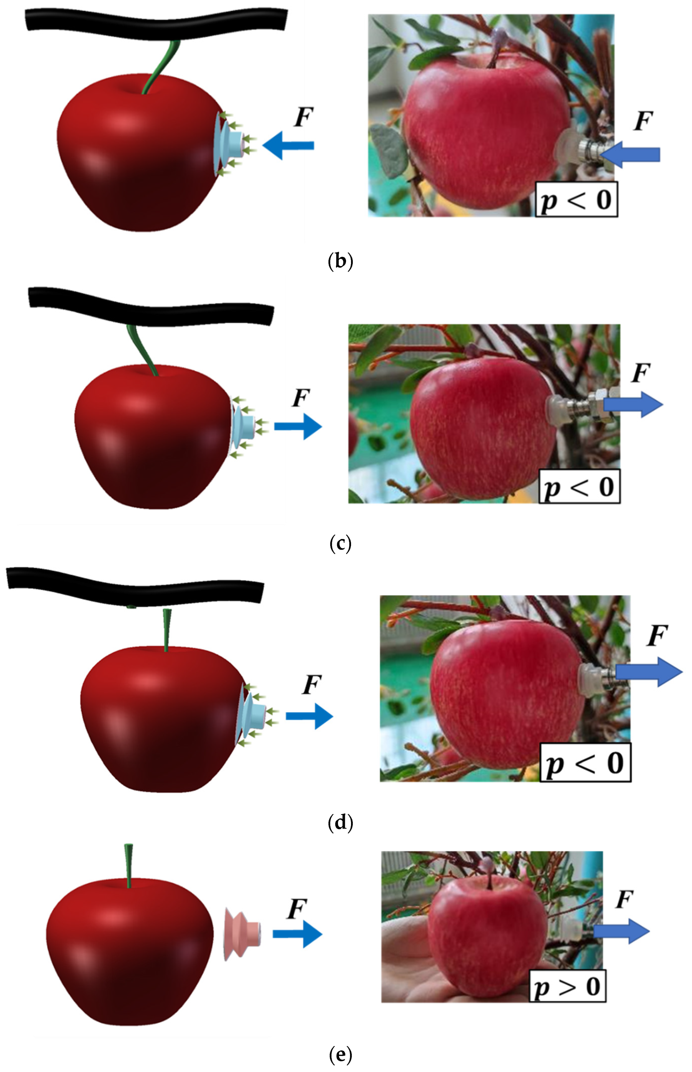 Agriculture 12 01871 g026b Agriculture 12 01871 g026b