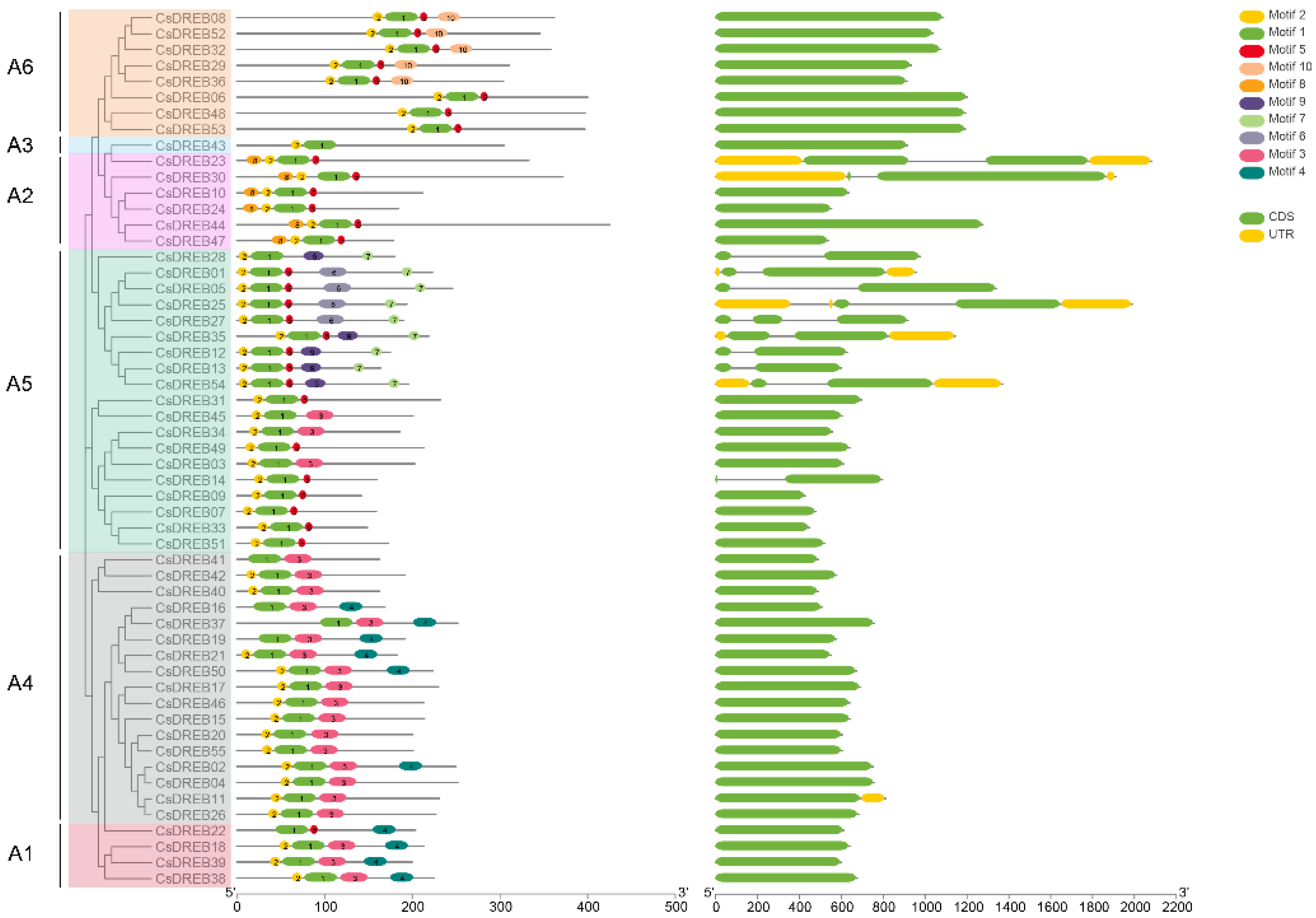 Agriculture 12 01879 g003
