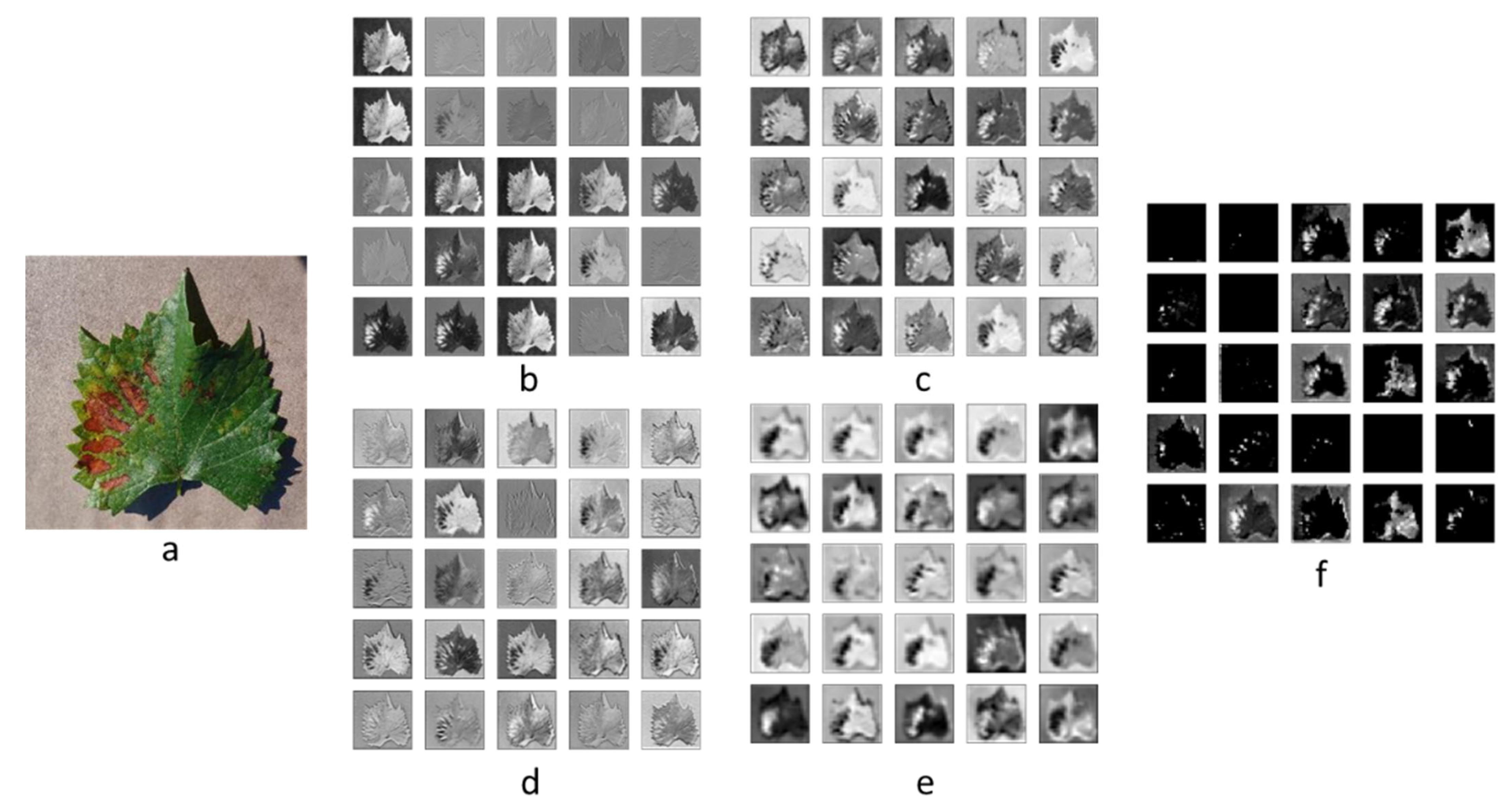 Agriculture 12 01886 g007