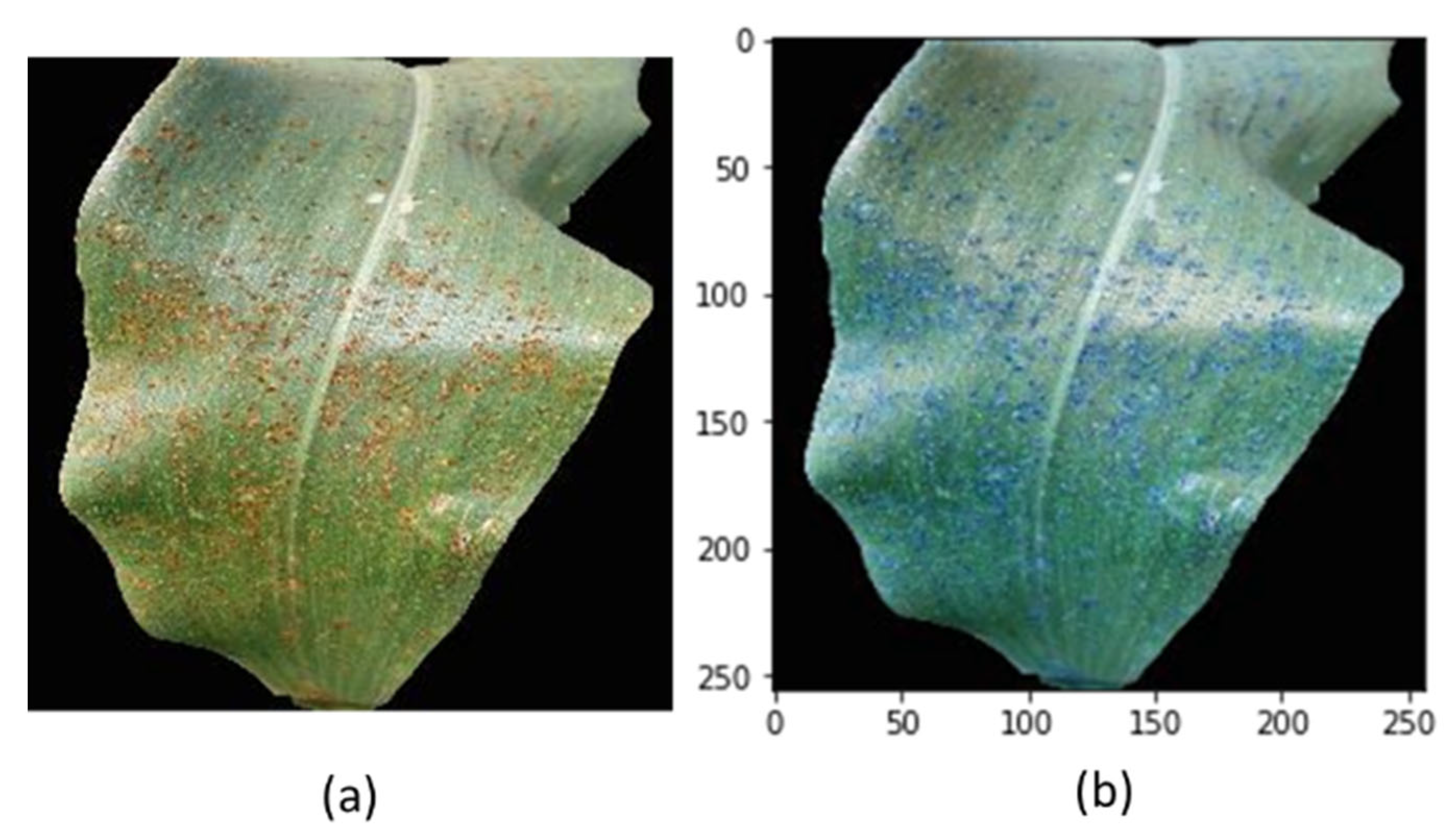 Agriculture 12 01886 g008