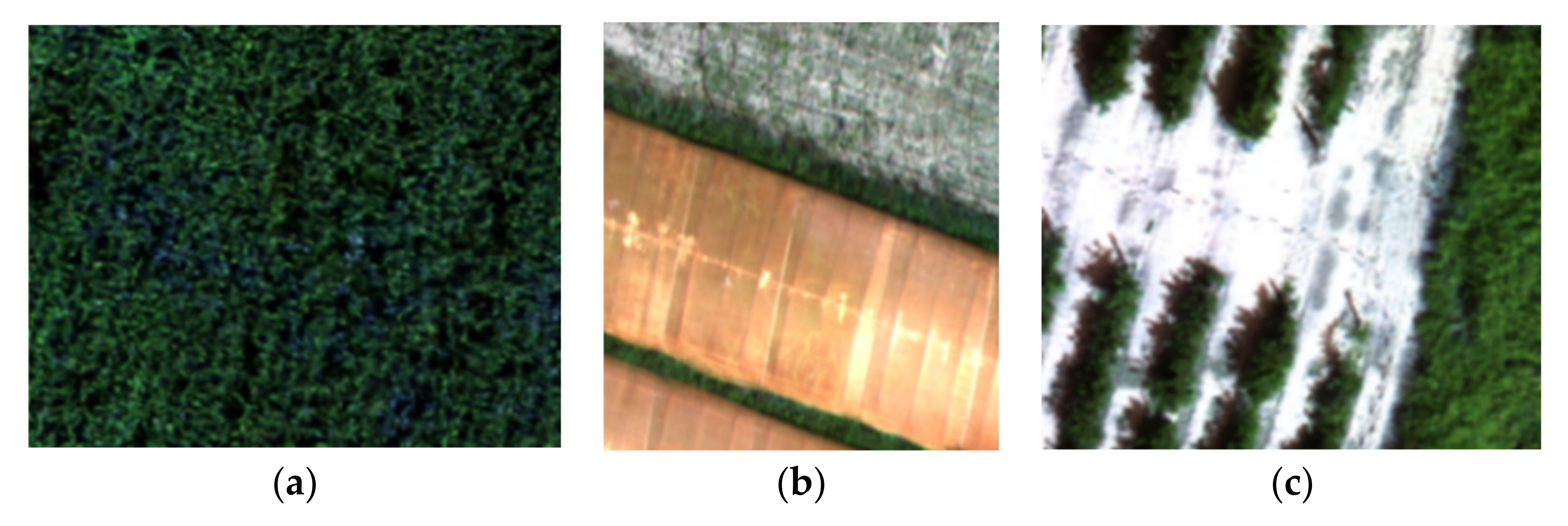 Agriculture 12 01894 g006