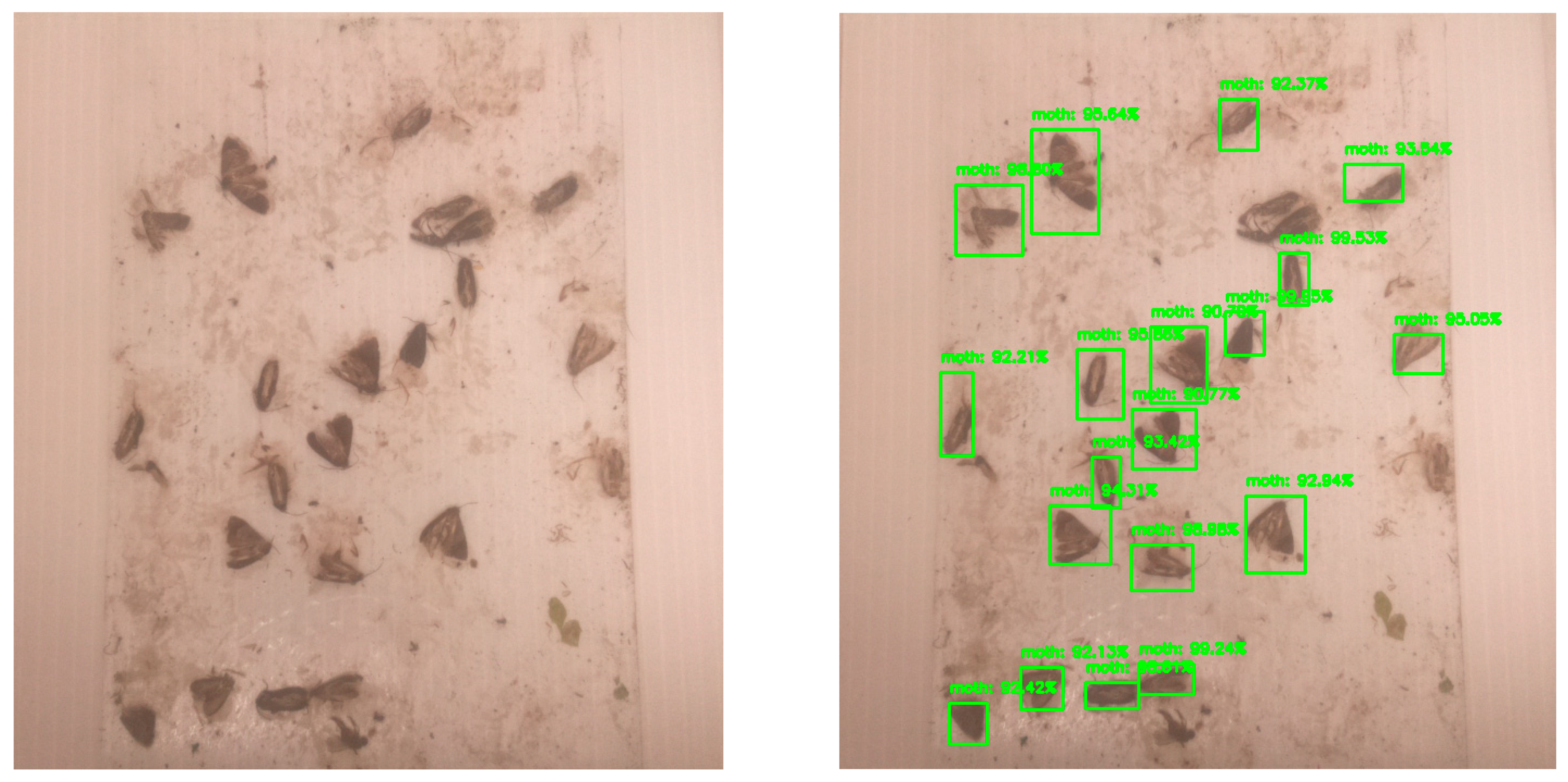 Agriculture 12 01897 g010