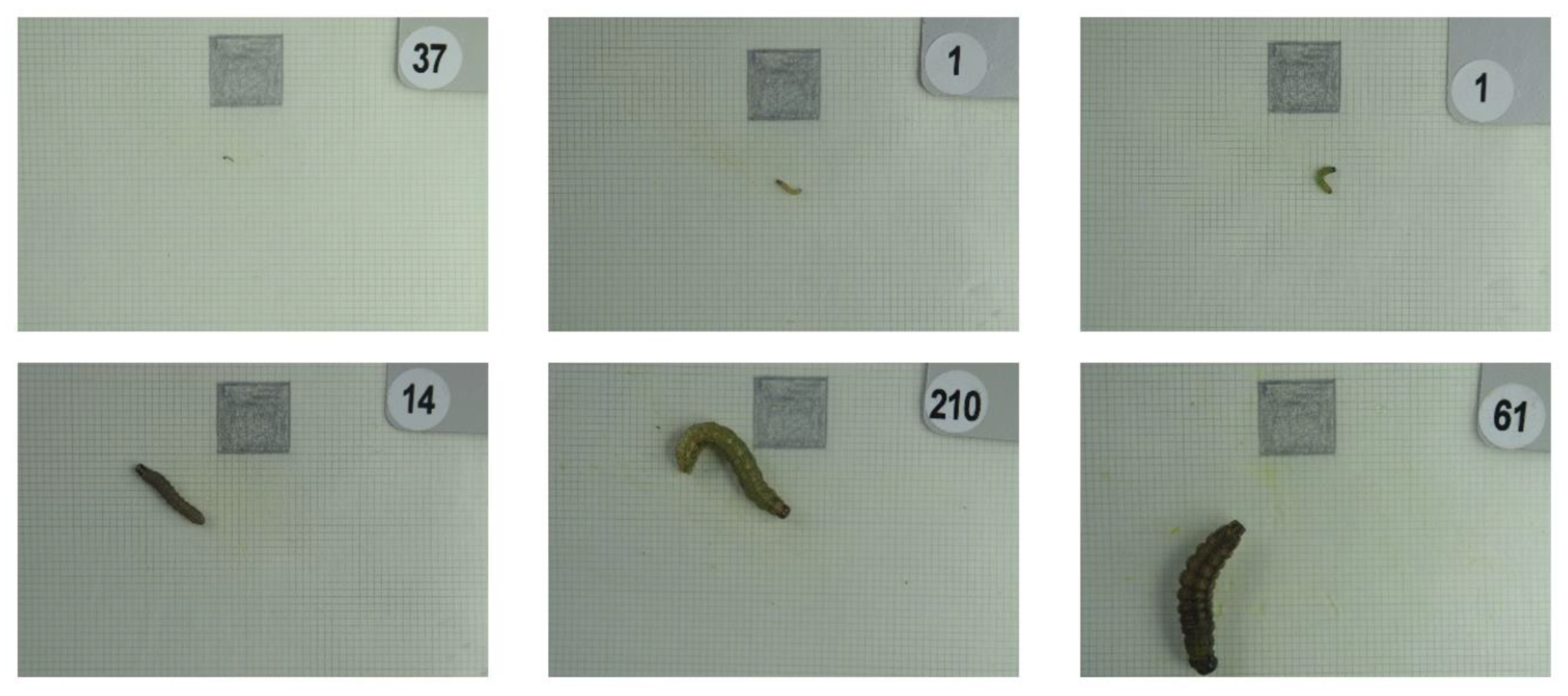 Agriculture 12 01919 g002 Agriculture 12 01919 g002