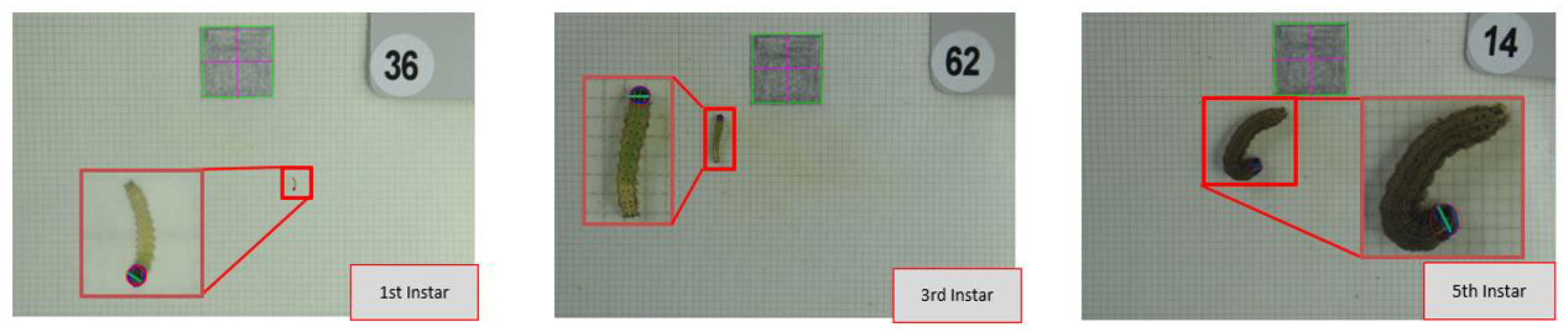 Agriculture 12 01919 g007 Agriculture 12 01919 g007