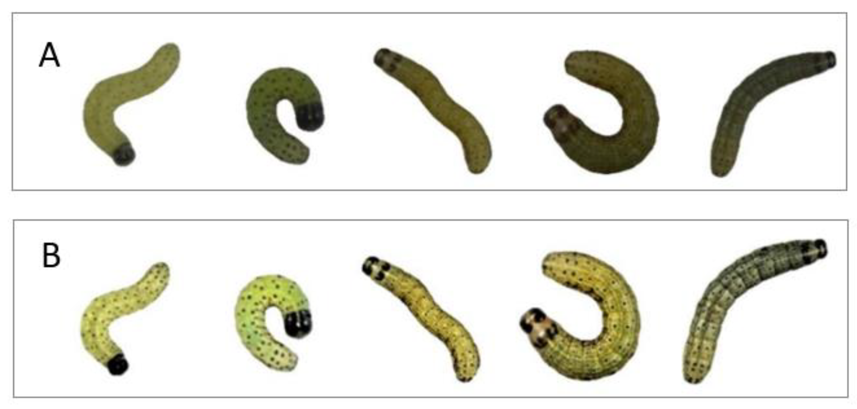 Agriculture 12 01919 g008 Agriculture 12 01919 g008