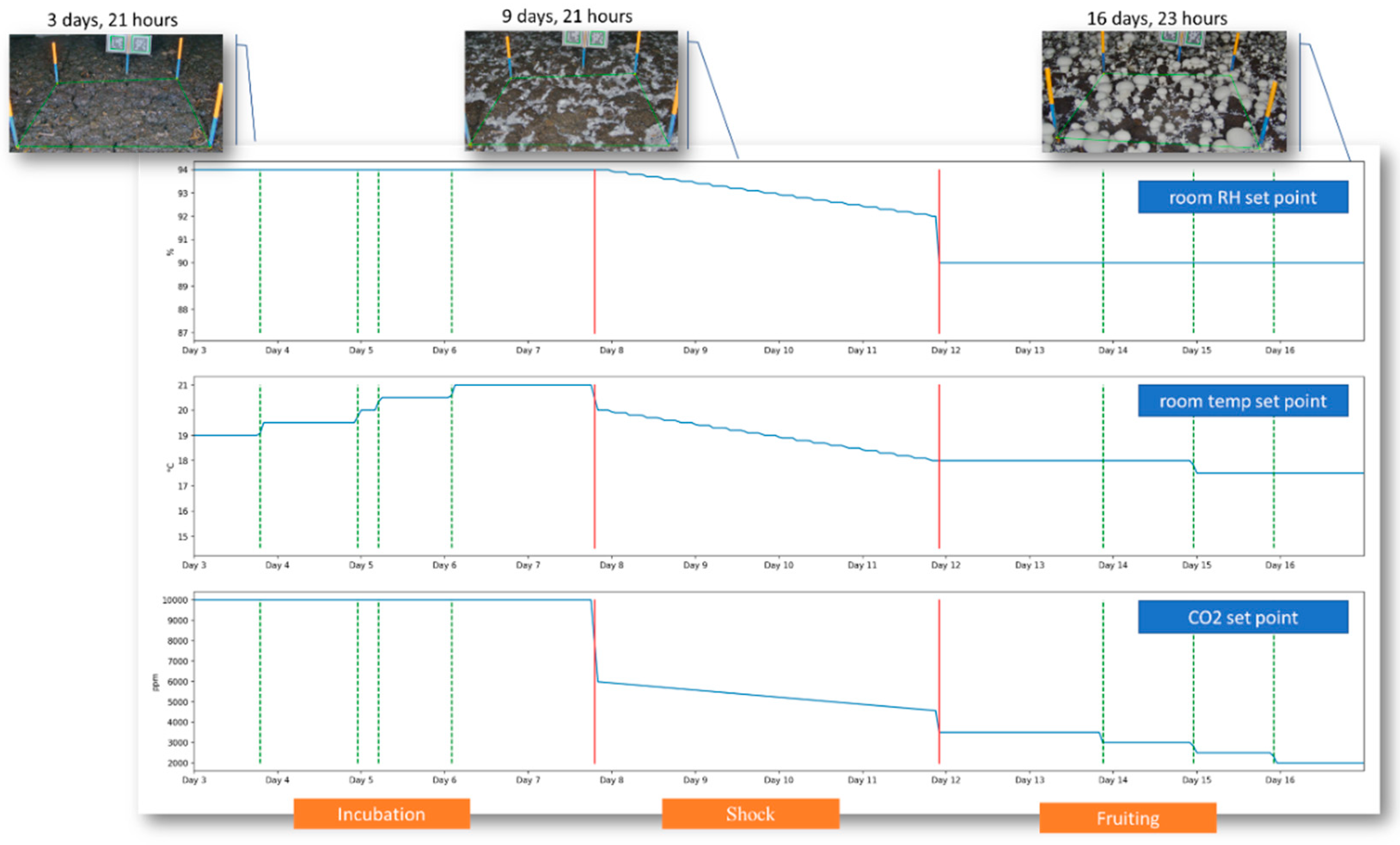 Agriculture 12 01921 g002