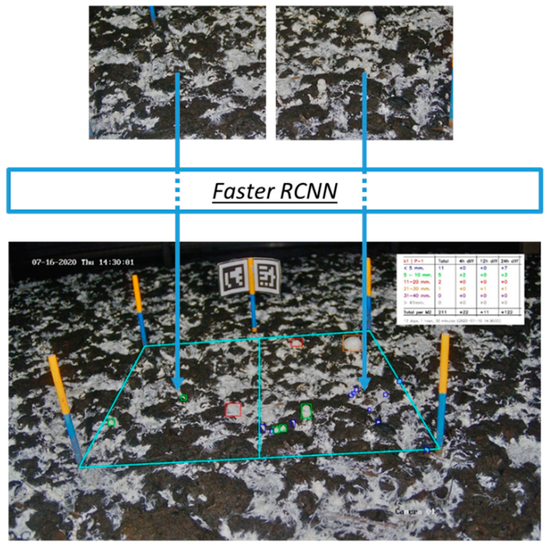Agriculture 12 01921 g008