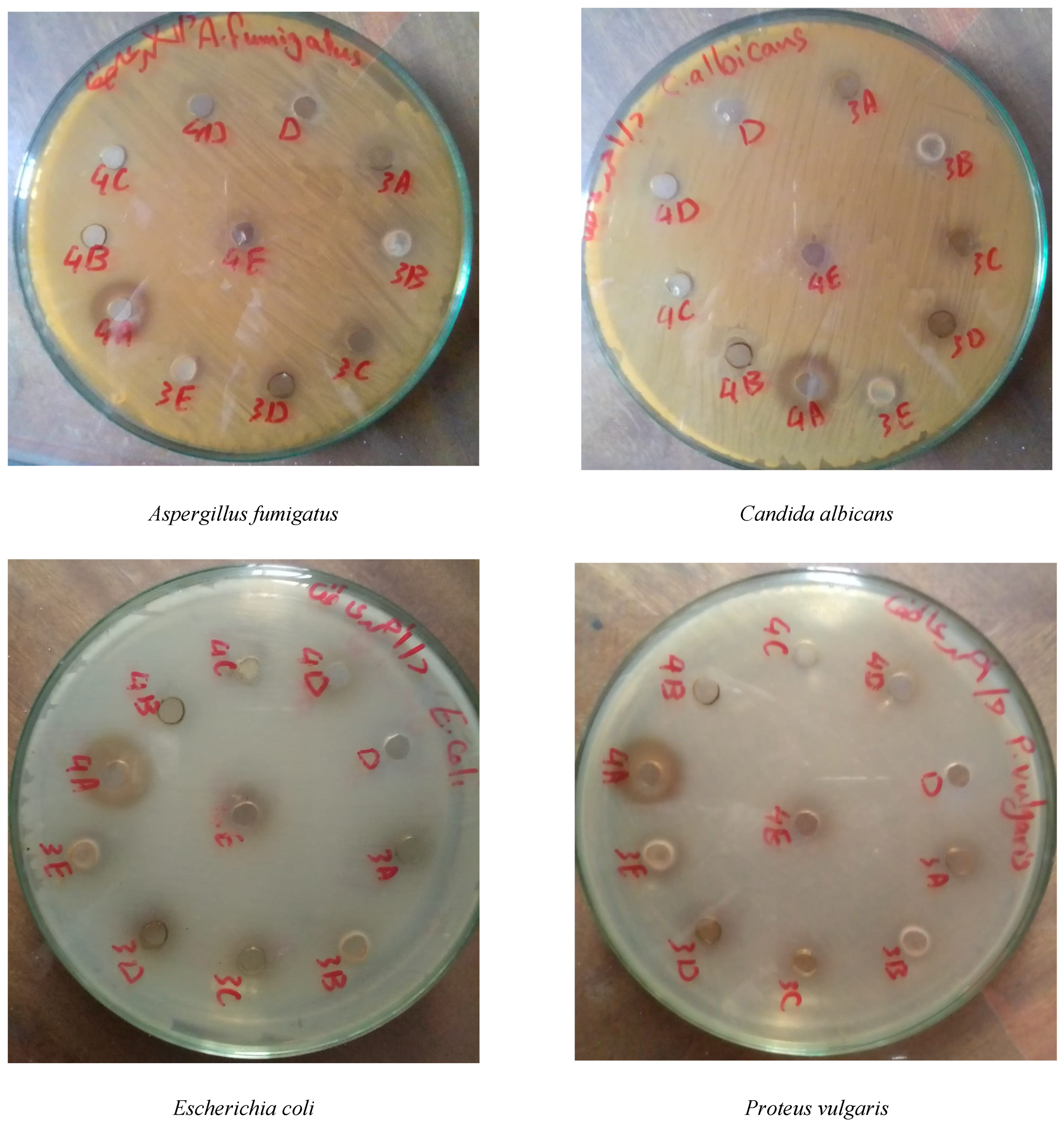 Agriculture 12 01925 g004a