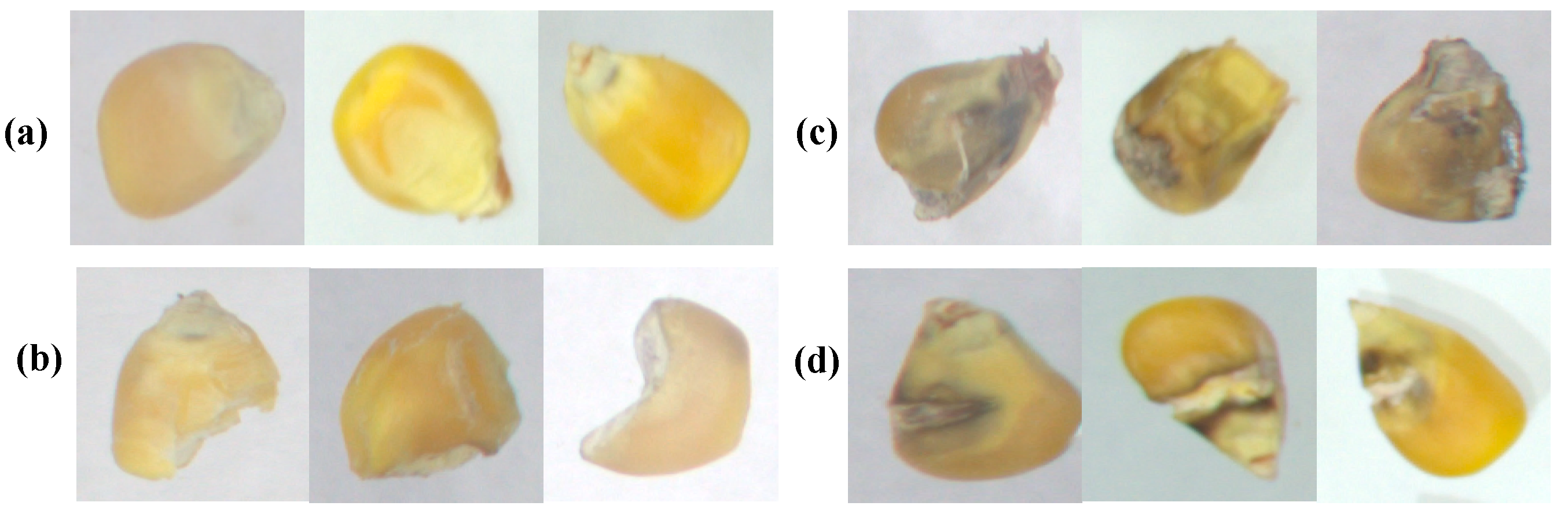 Agriculture 12 01929 g001