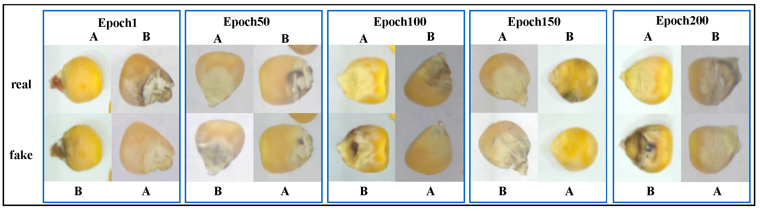 Agriculture 12 01929 g003