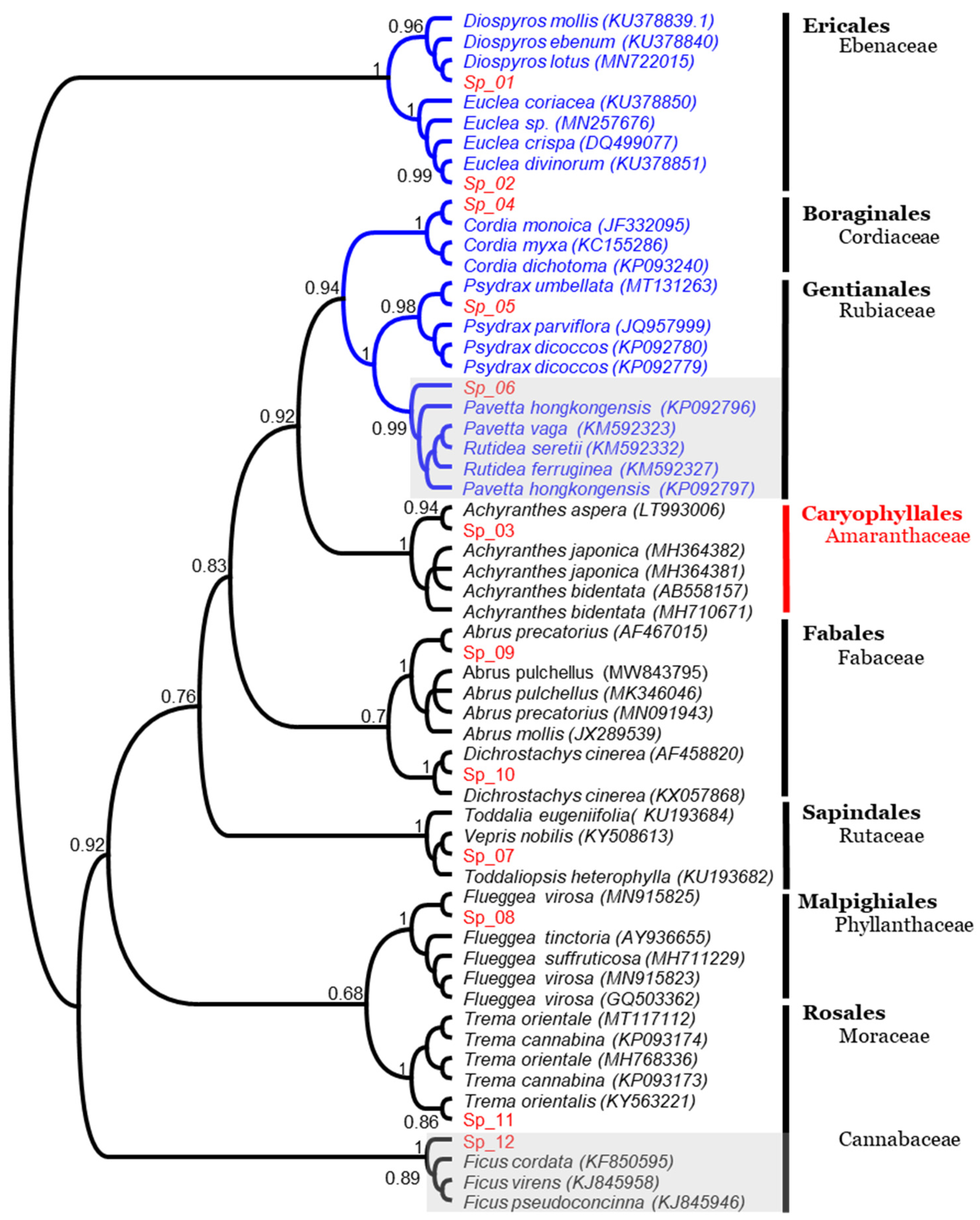 Agriculture 12 01931 g004