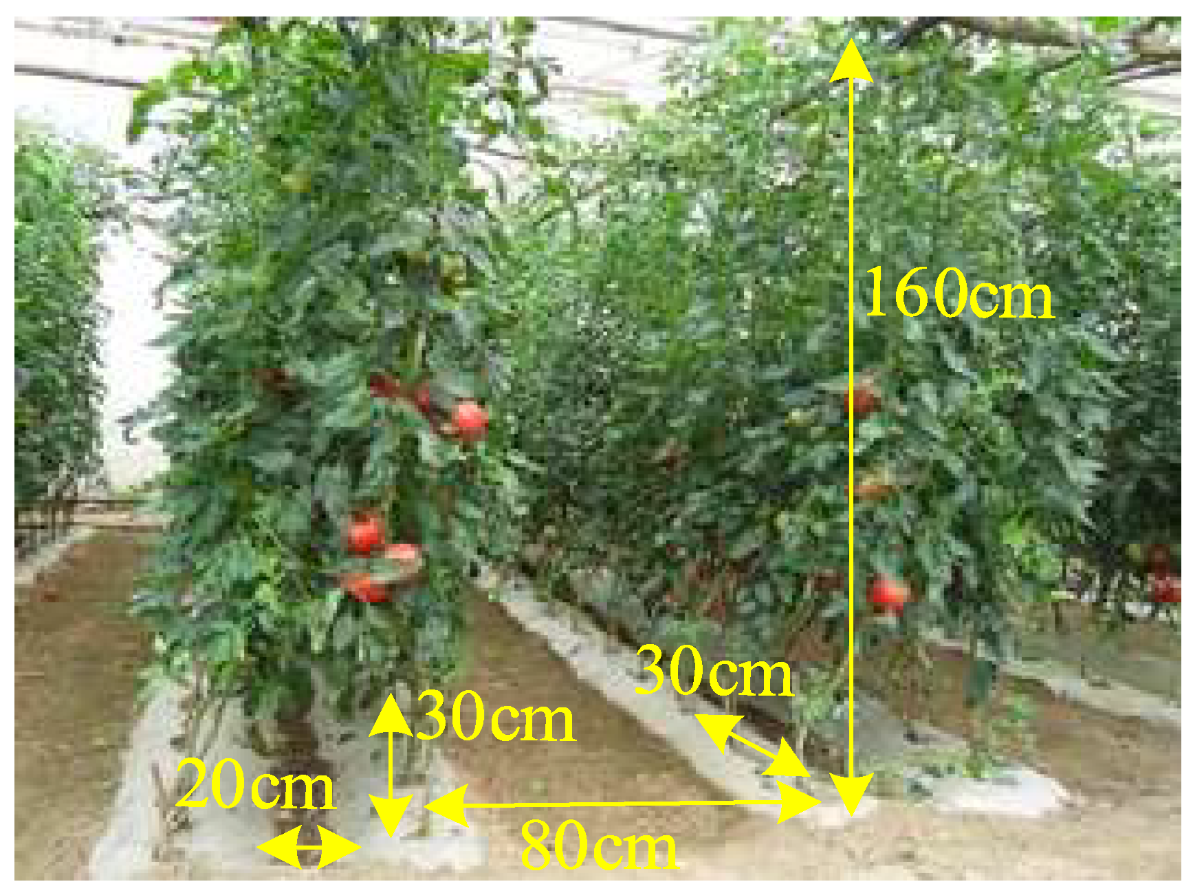 Design of 6-DOF Tomato Picking Lifting Platform