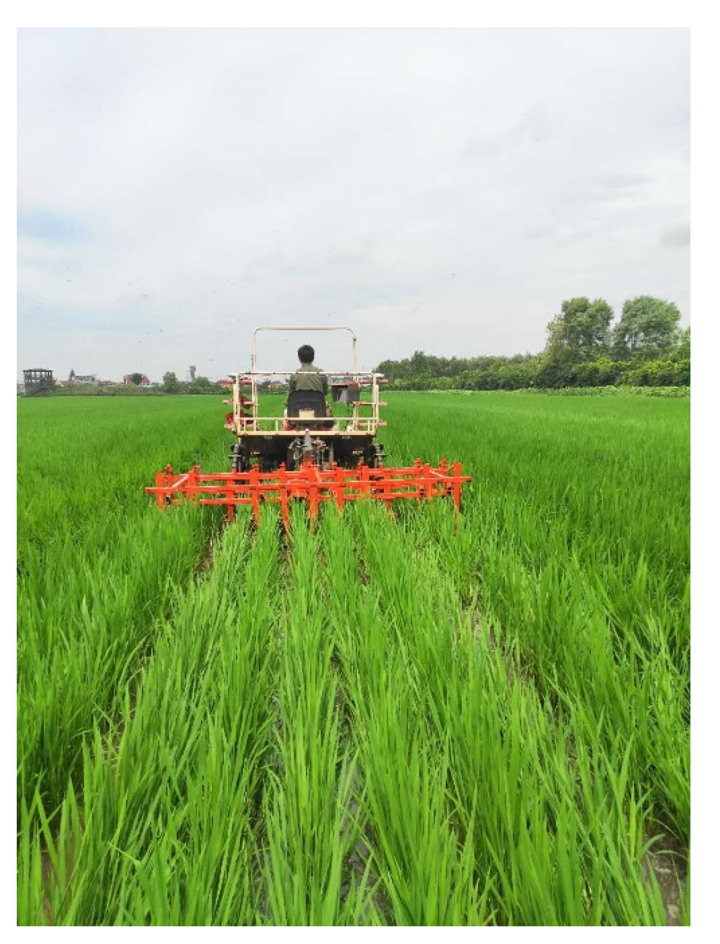 Agriculture 12 01956 g009