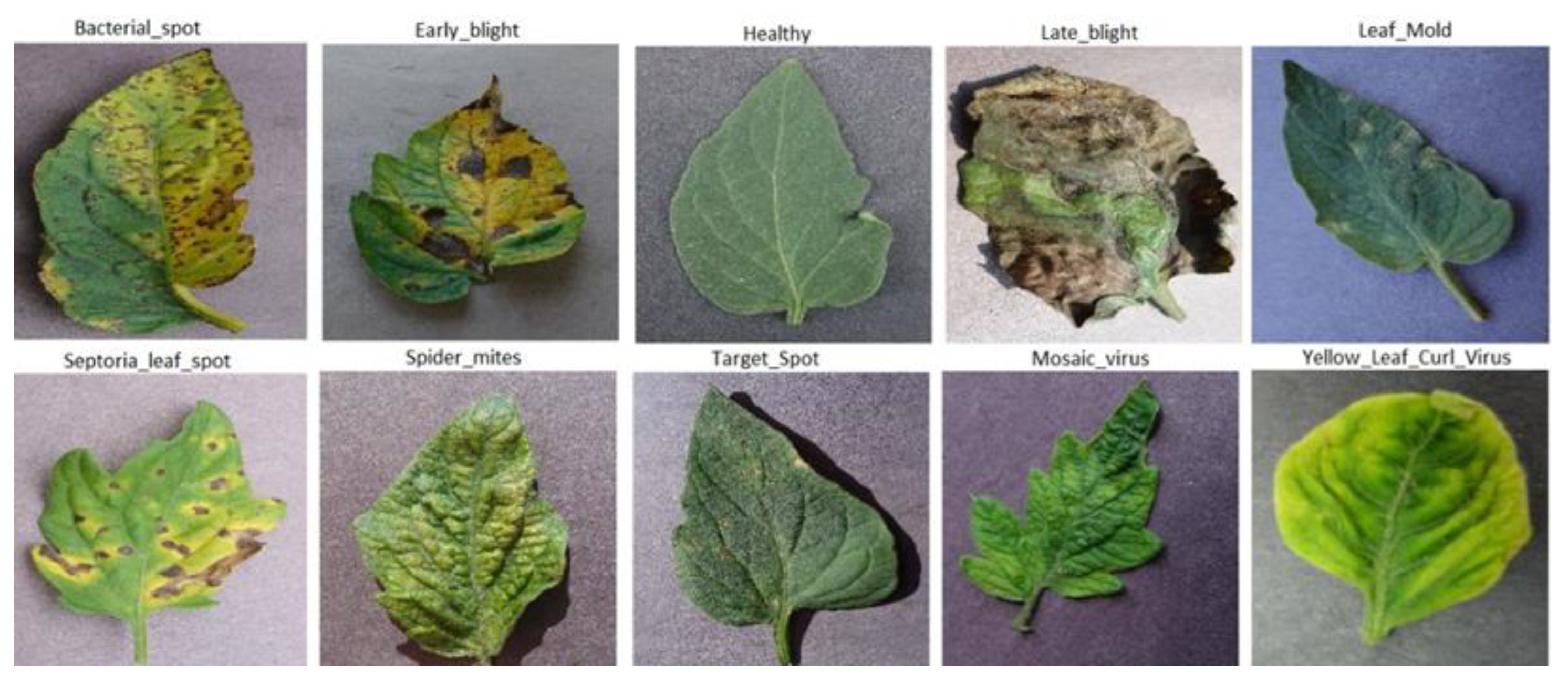 Agriculture 12 01964 g001 Agriculture 12 01964 g001