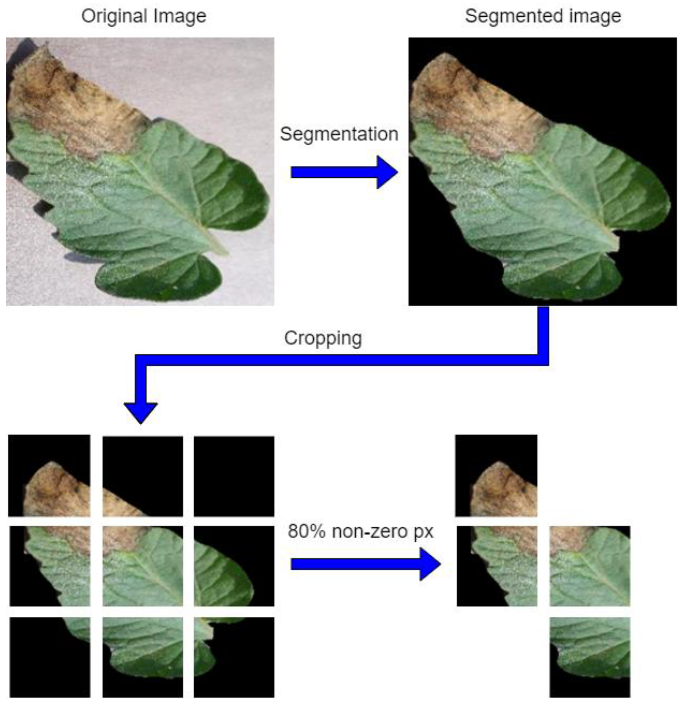 Agriculture 12 01964 g006 Agriculture 12 01964 g006