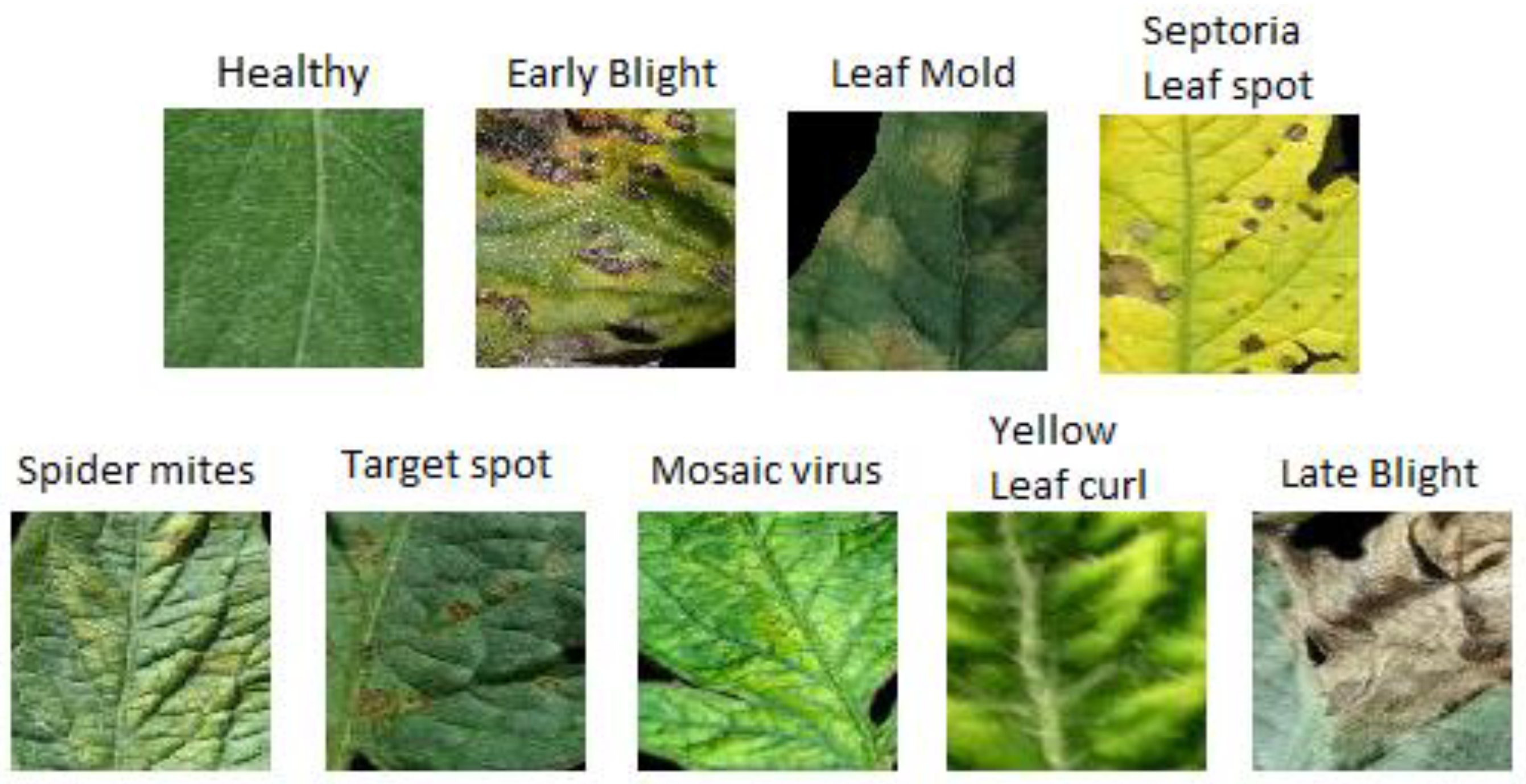 Agriculture 12 01964 g007 Agriculture 12 01964 g007