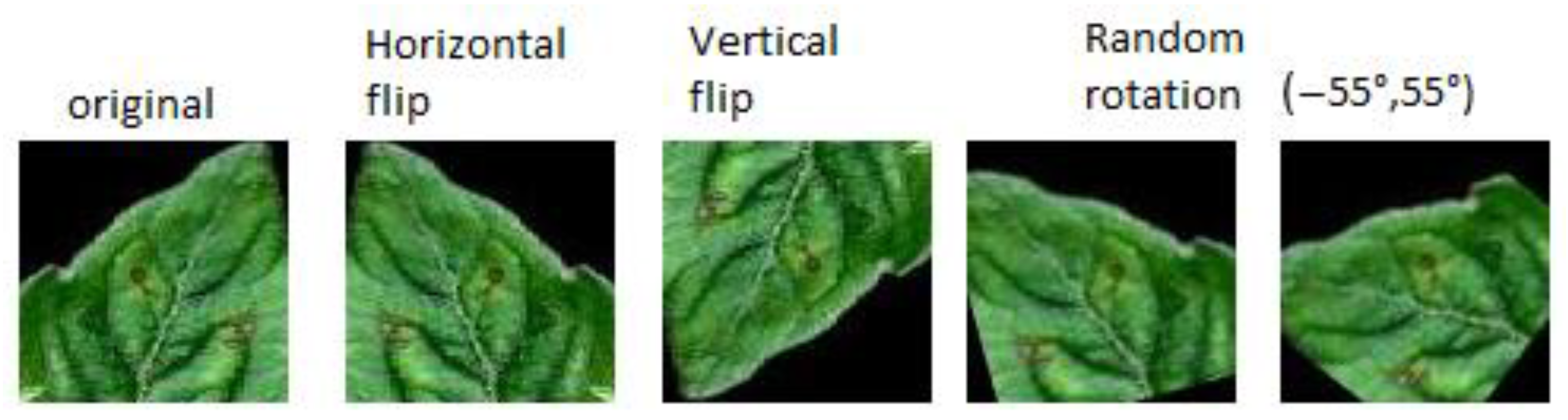 Plant Disease Detection Strategy Based ... Circuit Diagram