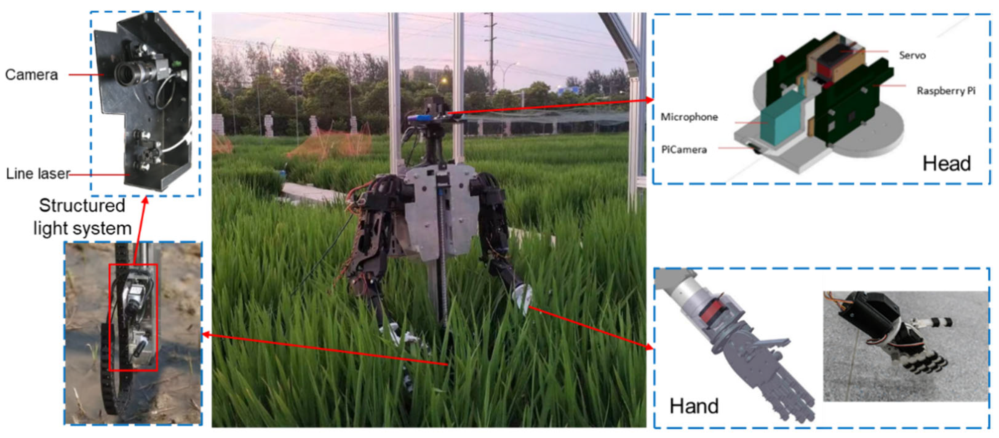 Agriculture 12 01966 g001