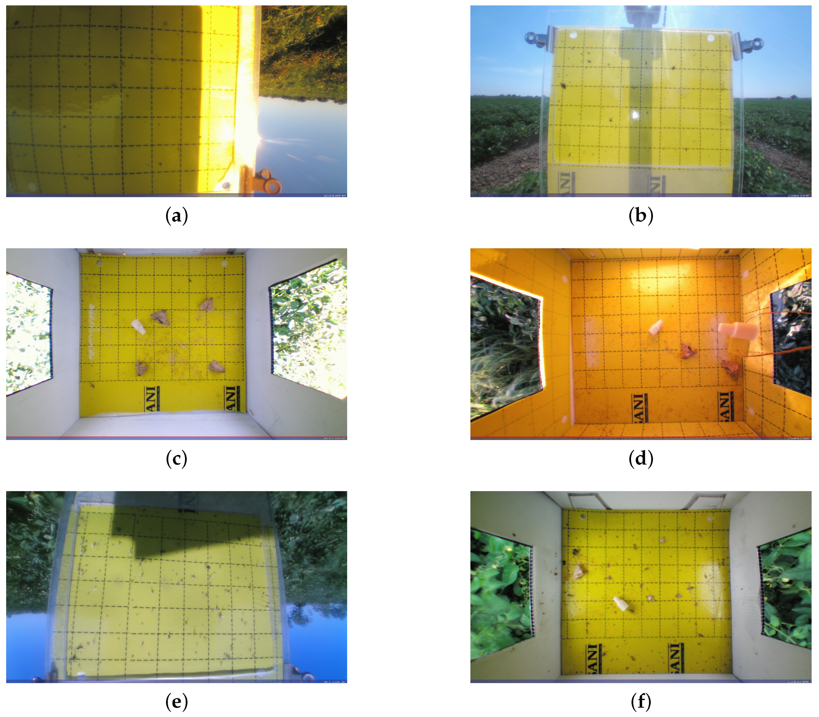 Agriculture 12 01967 g001