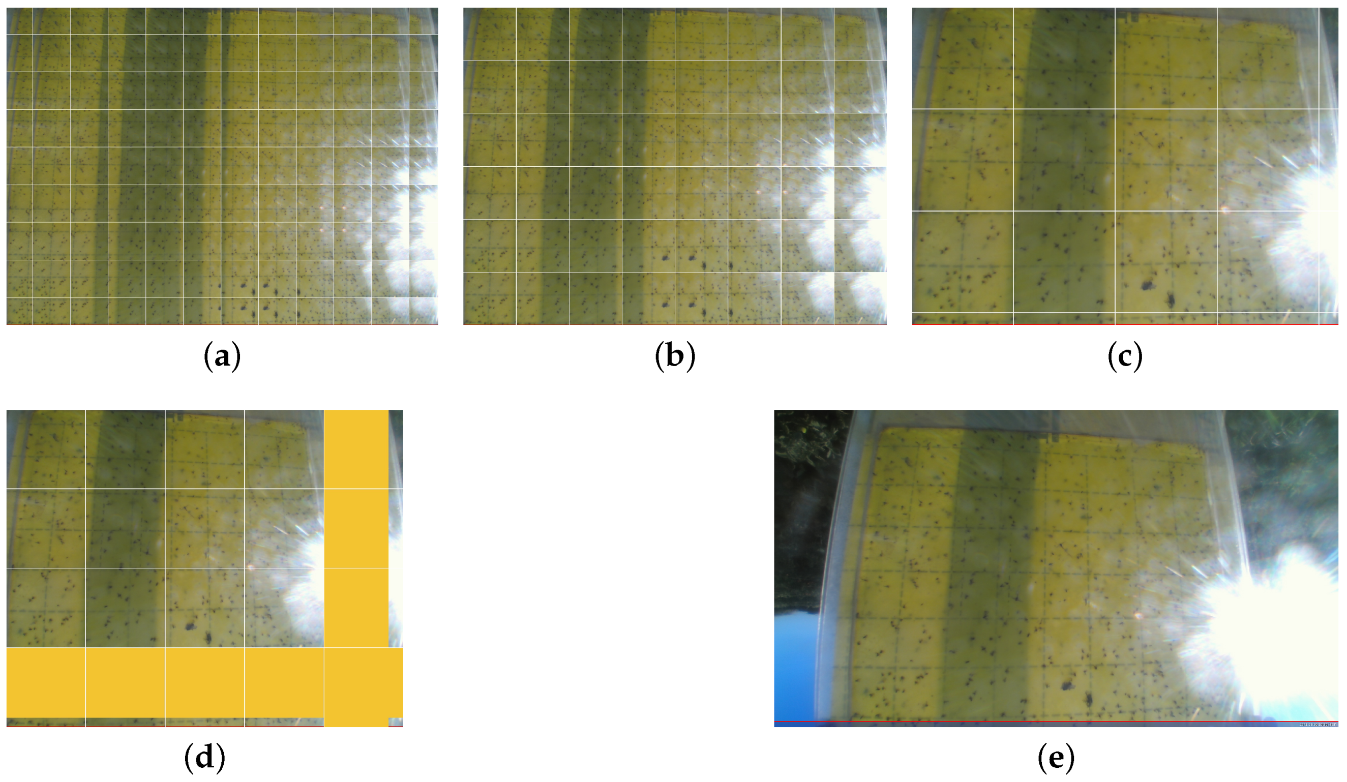 Agriculture 12 01967 g003