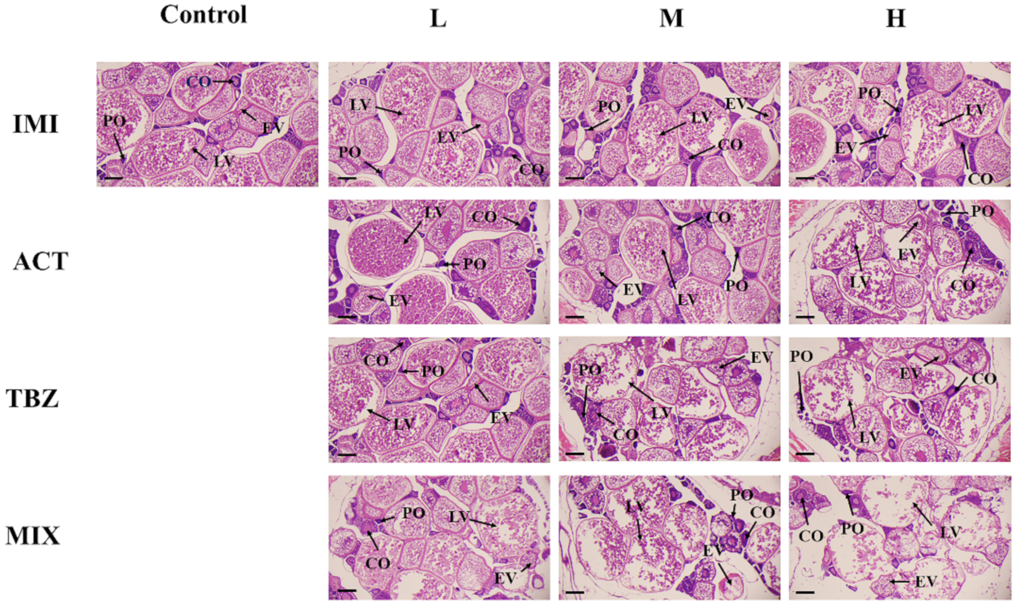 Agriculture 12 01979 g004