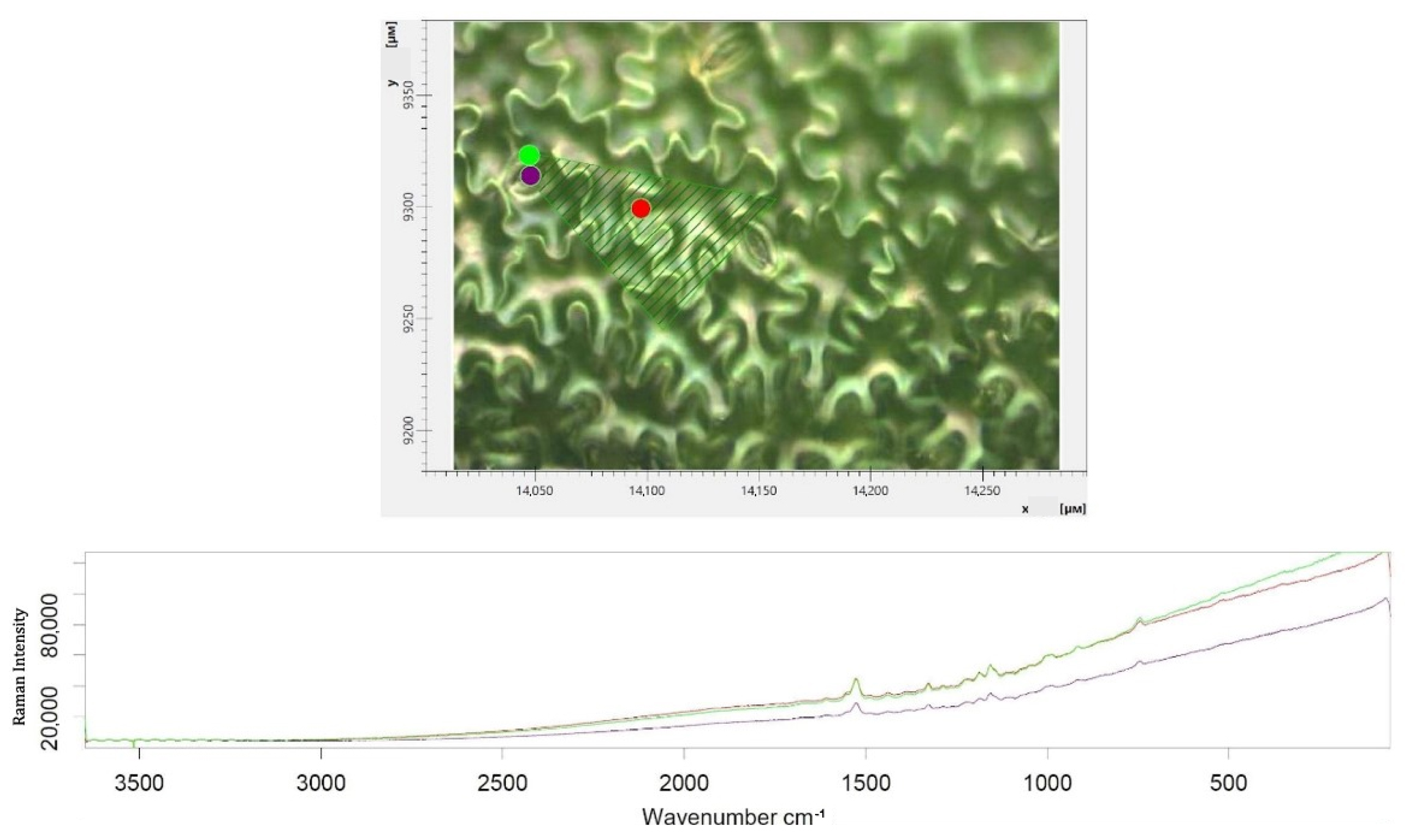 Agriculture 12 01988 g006