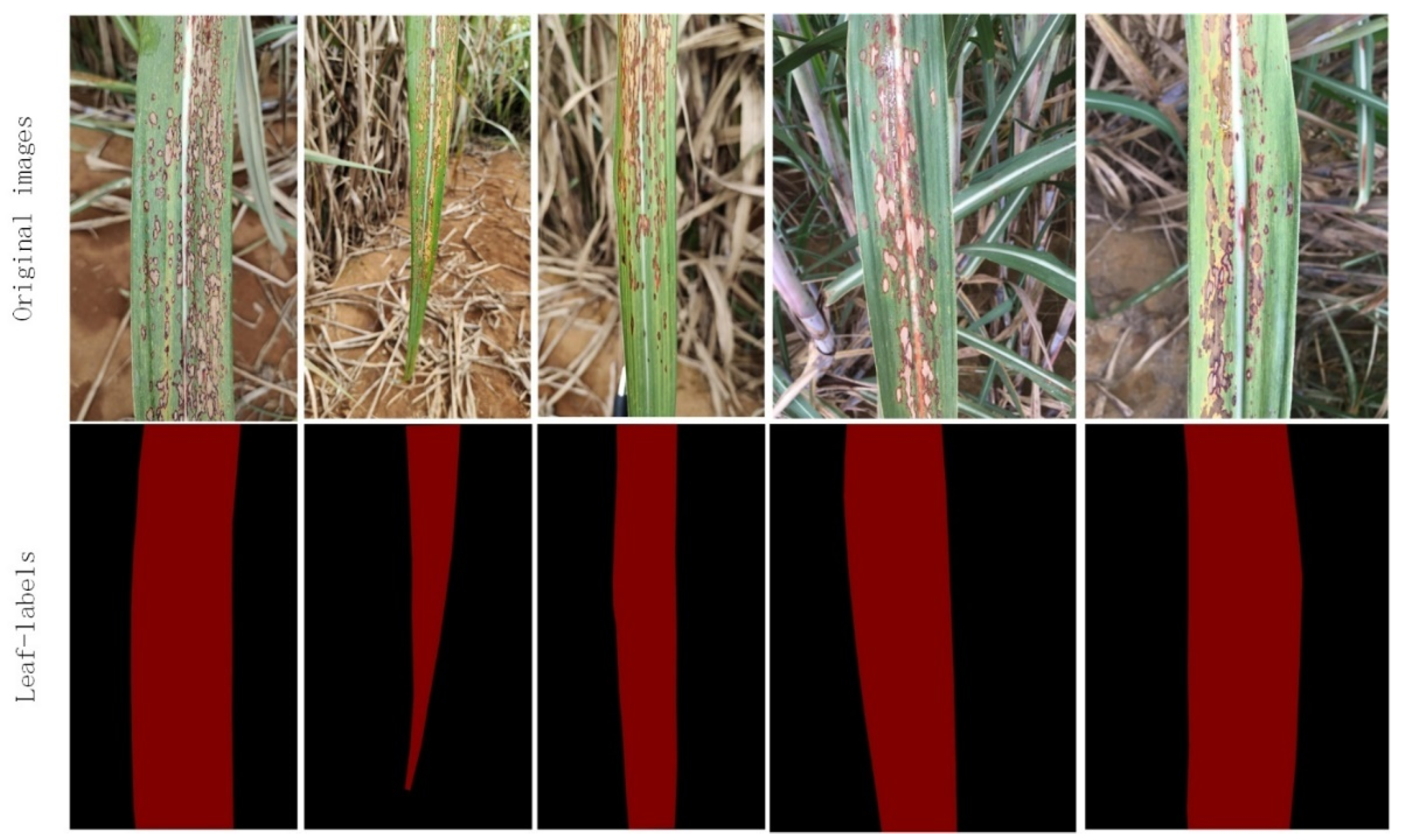 Agriculture 12 01997 g008 Agriculture 12 01997 g008