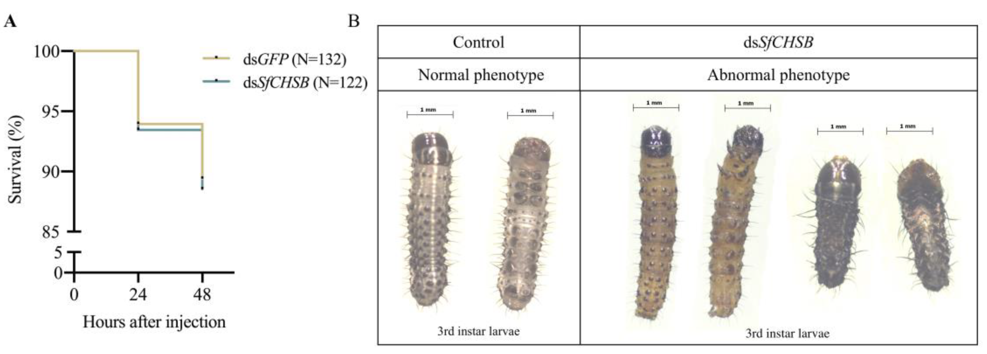 Agriculture 12 02019 g006