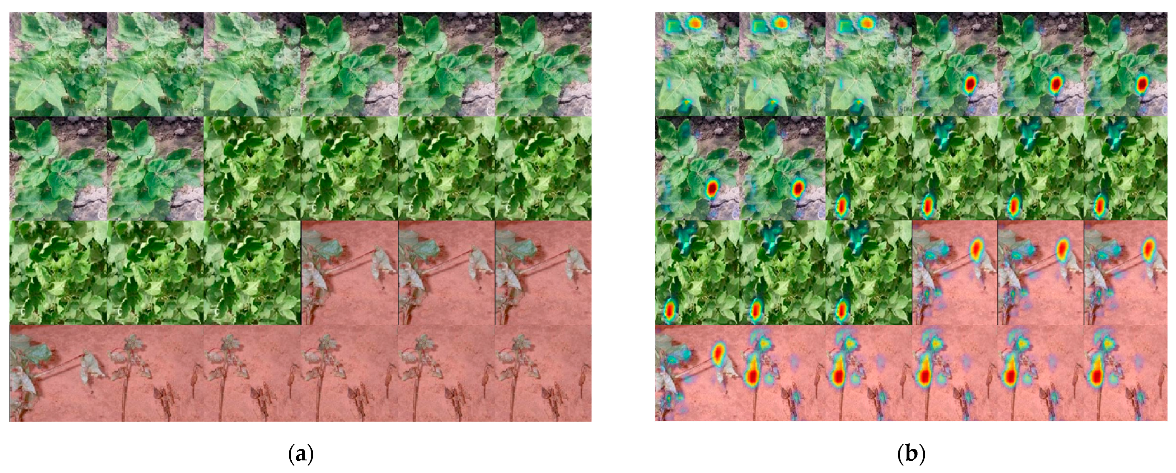 Agriculture 12 02029 g007 Agriculture 12 02029 g007