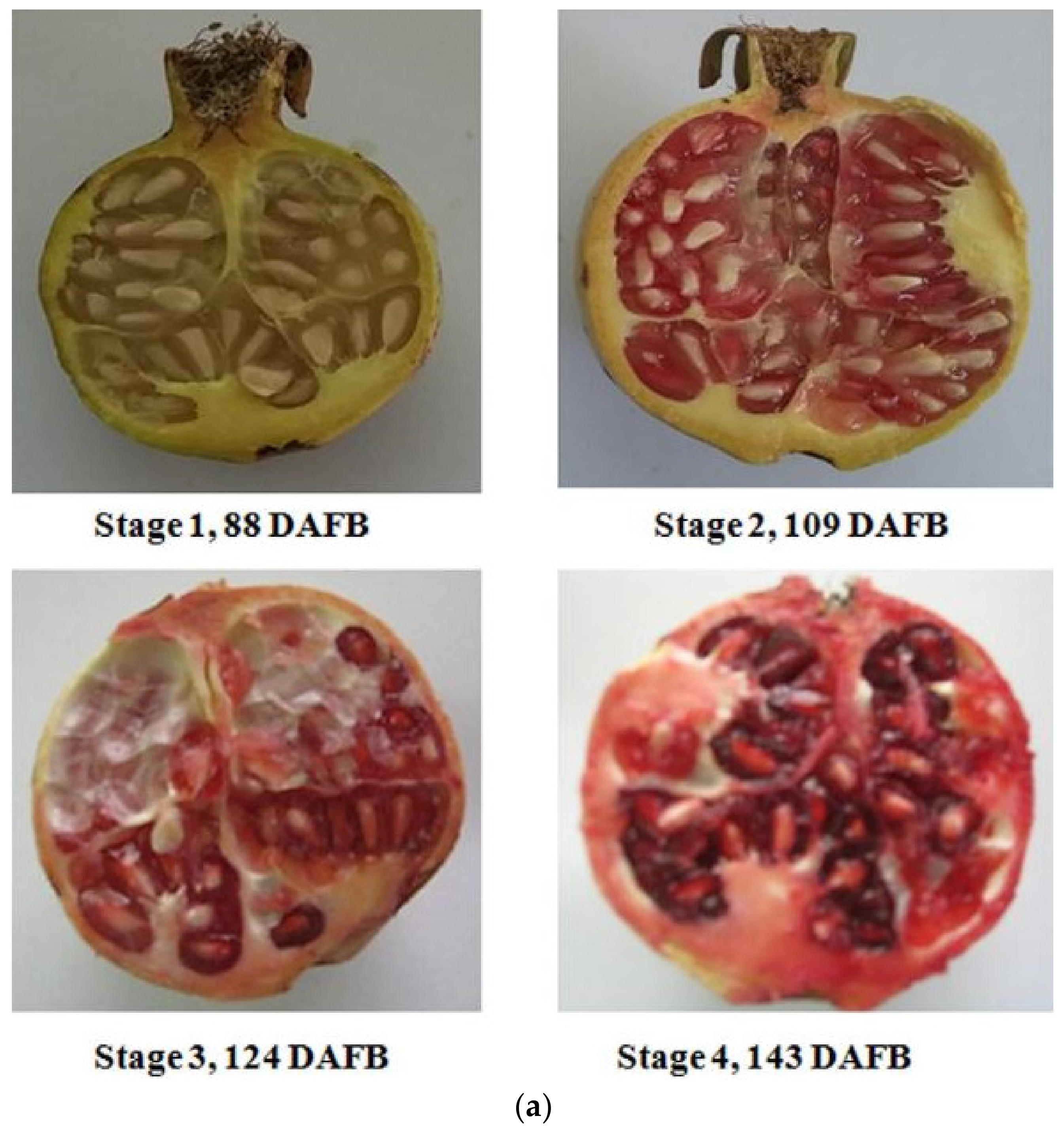 Agriculture 12 02034 g003a