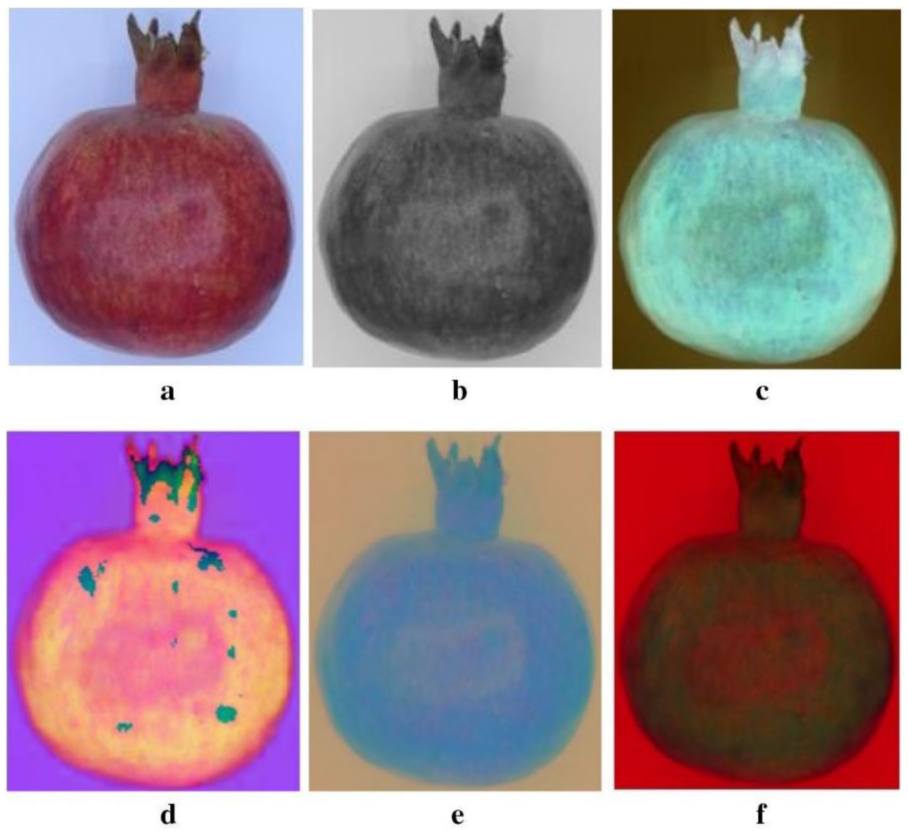 Agriculture 12 02034 g004