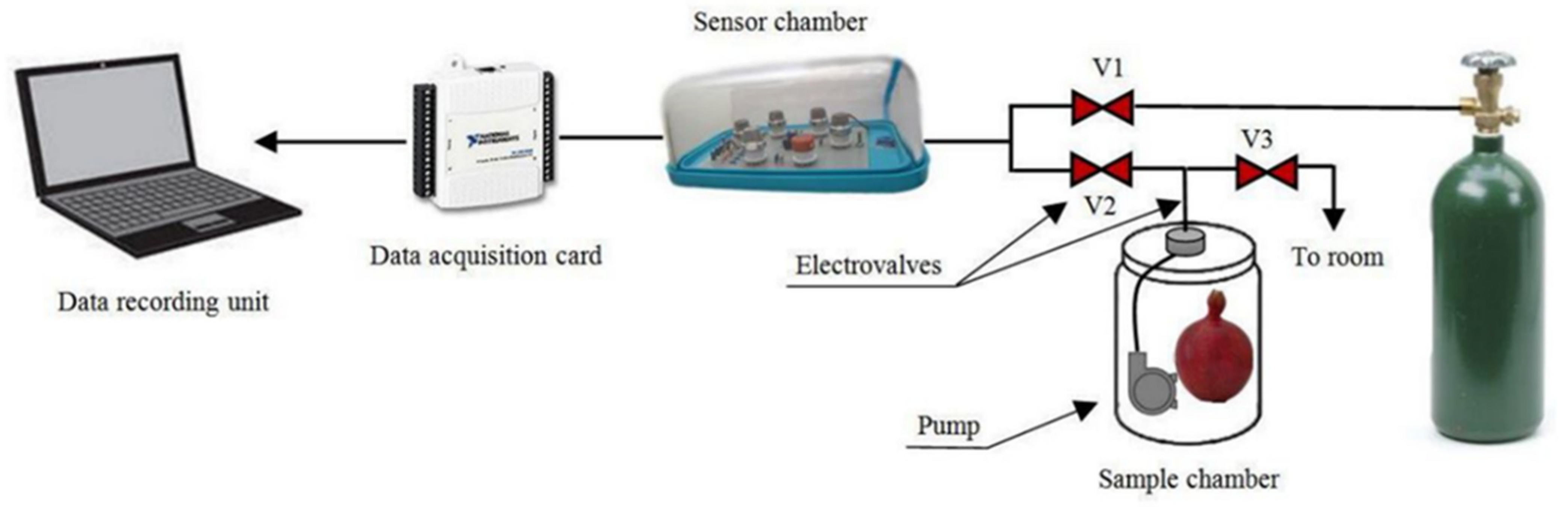 Agriculture 12 02034 g008